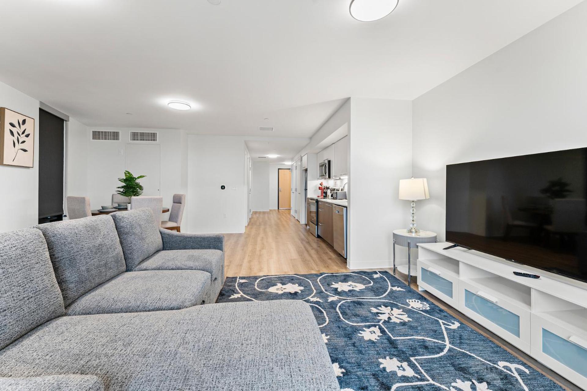 Furnished Luxury Next To Harvard Stadium Appartement Boston