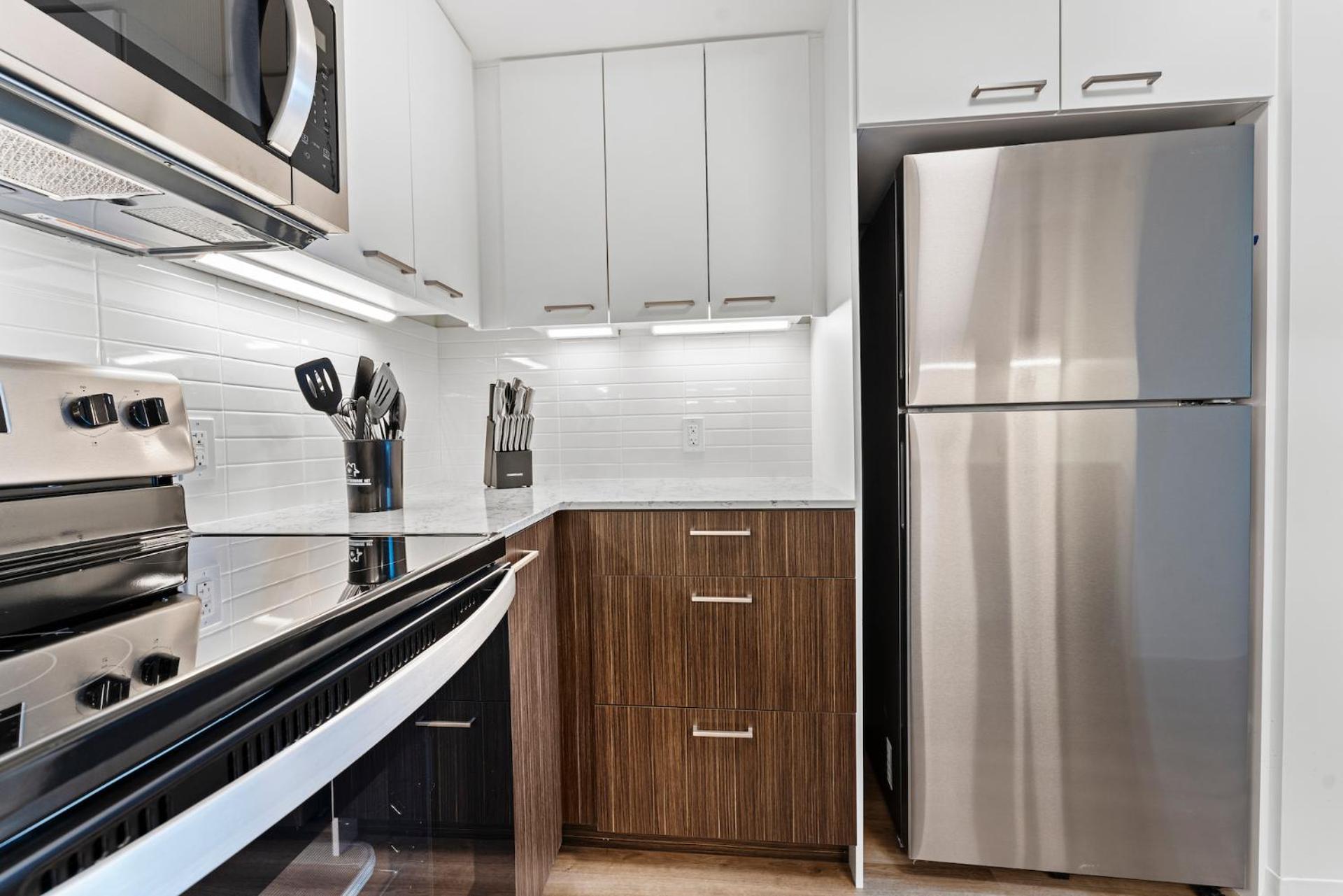 Furnished Luxury Next To Harvard Stadium Appartement Boston