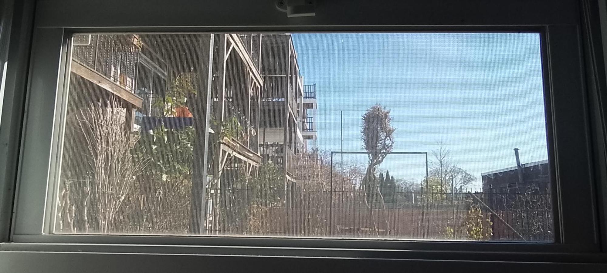 Bluejay Homestay Boston