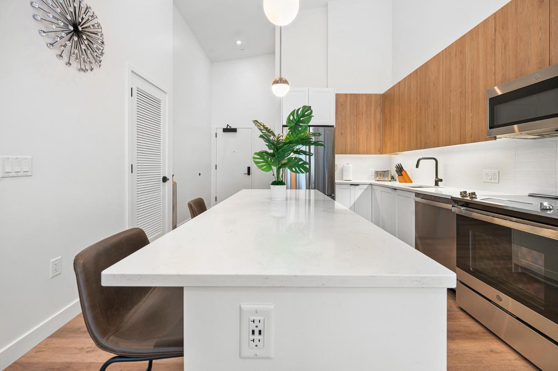 Luxury Furnished Near Logan Airport