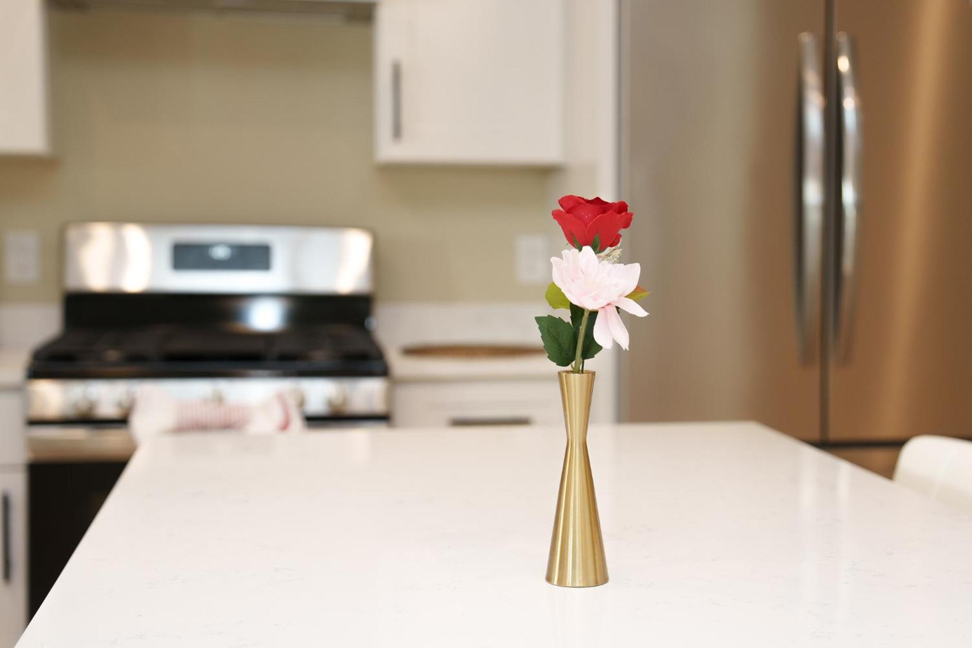 60-2 3br - Modern Near Franklin Park Apartment