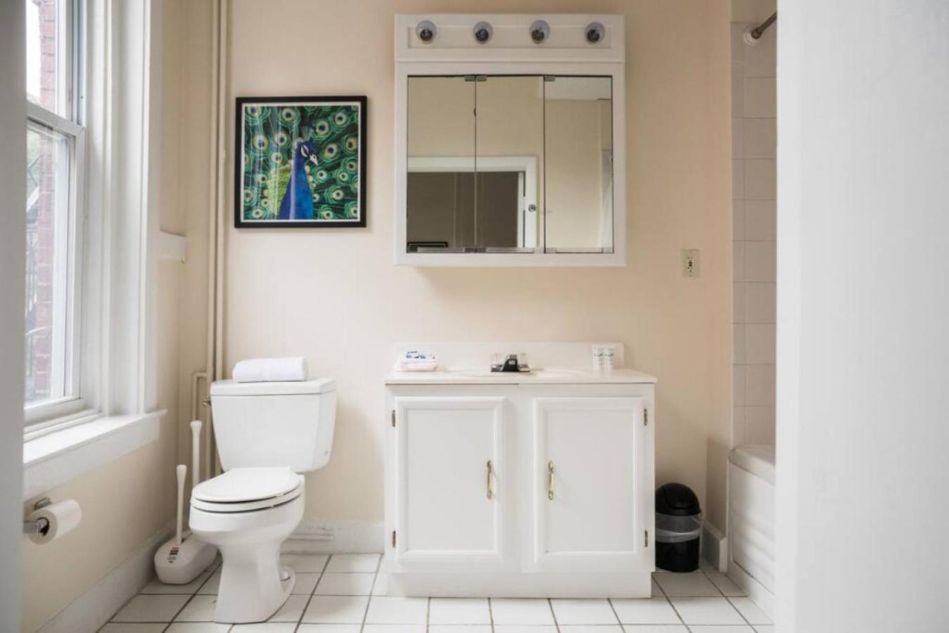 Apartment Charming 1 Bedroom Newbury Street Boston