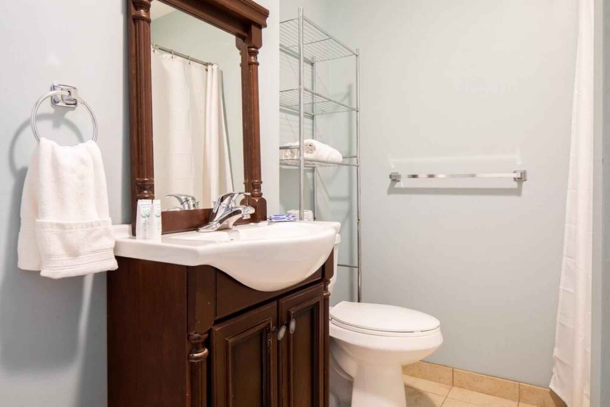 Large Ceilings Centrally Located 4bed 2bath Appartement Boston