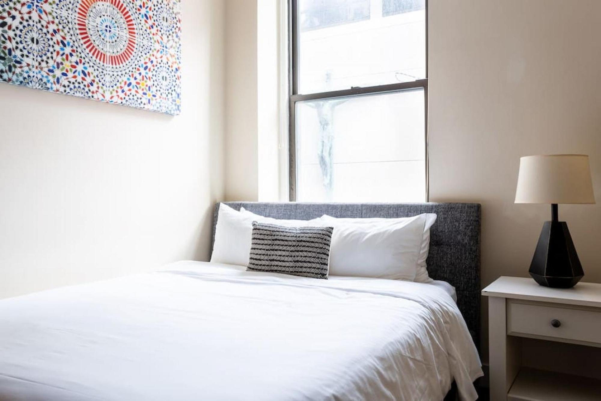 Apartment Center Of Pet Friendly Laundry Boston