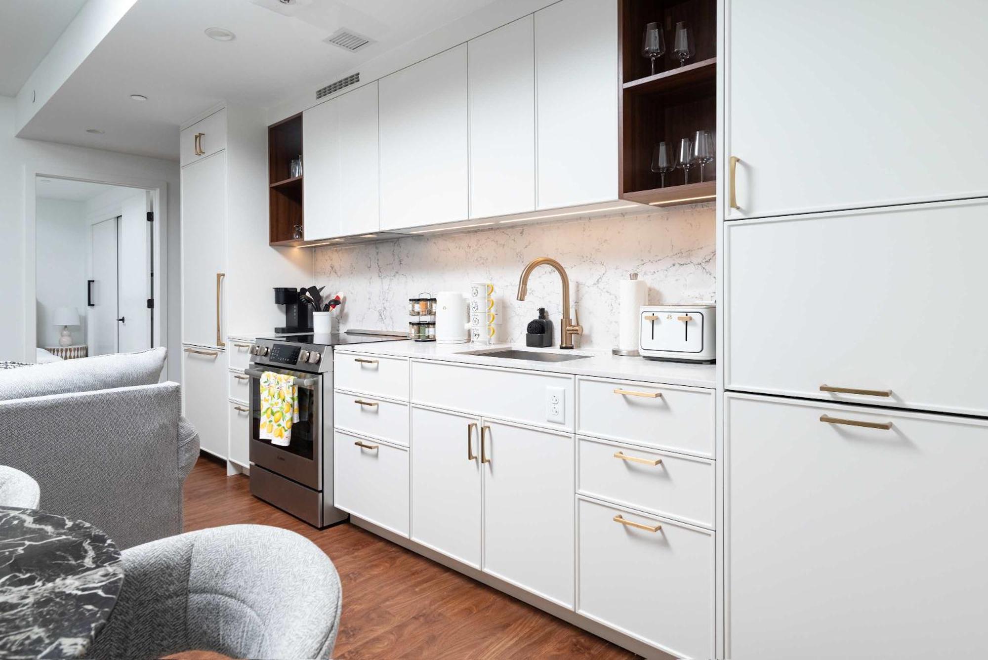 Back-bay Upscale Rooftop & Parking Apartment *