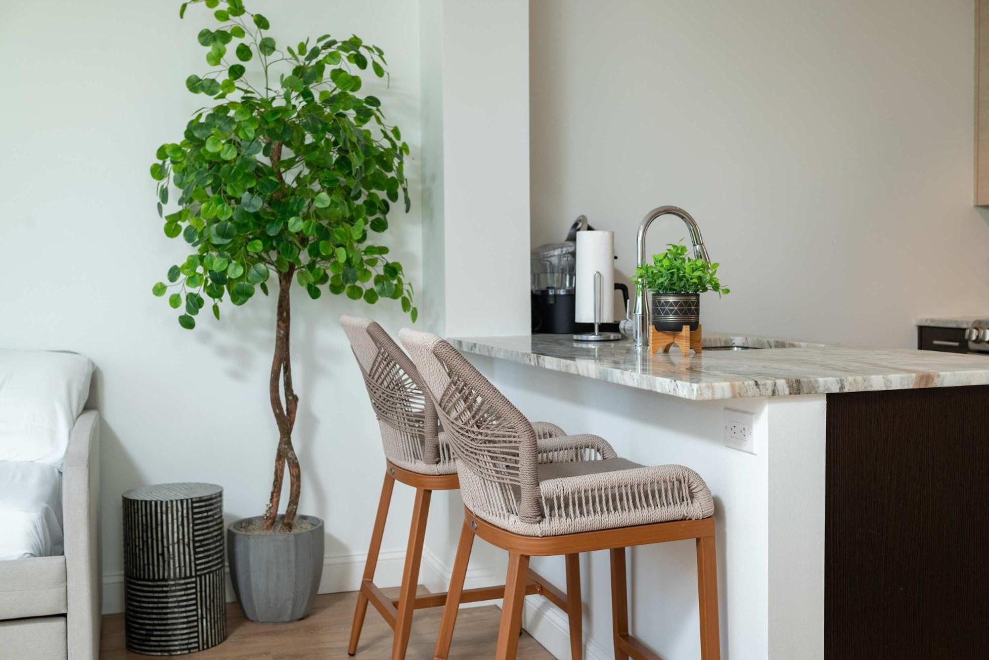 Upscale Penthouse With Gym Parking Near Mgh Tufts * Boston