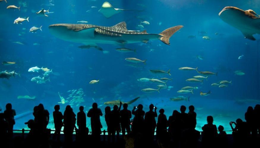 Lux 3bd Minutes Walk To Airport *