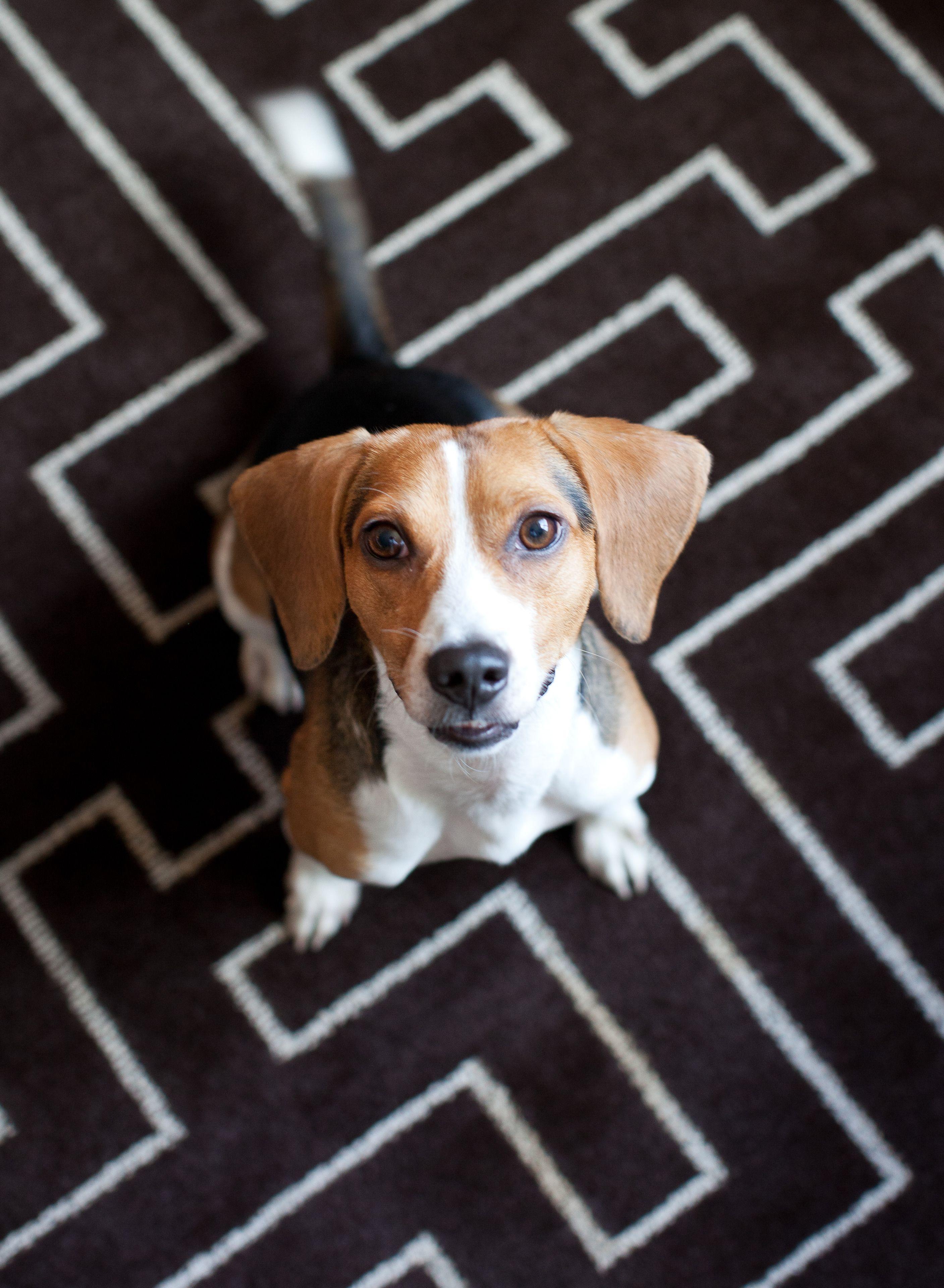 Hotel Pennyweight Boston, Curio Collection By Hilton 4*