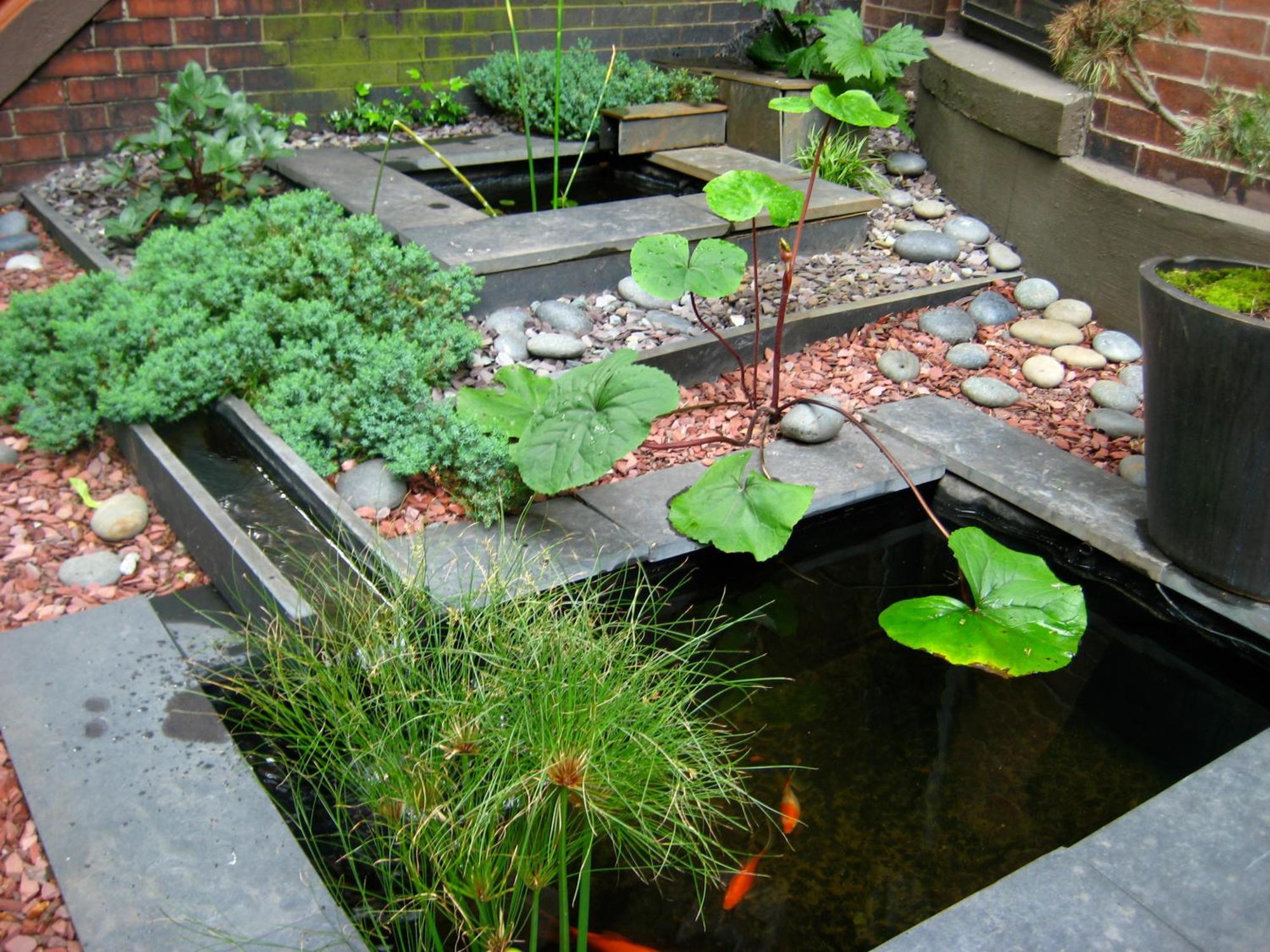 Bed & Breakfast Clarendon Square
