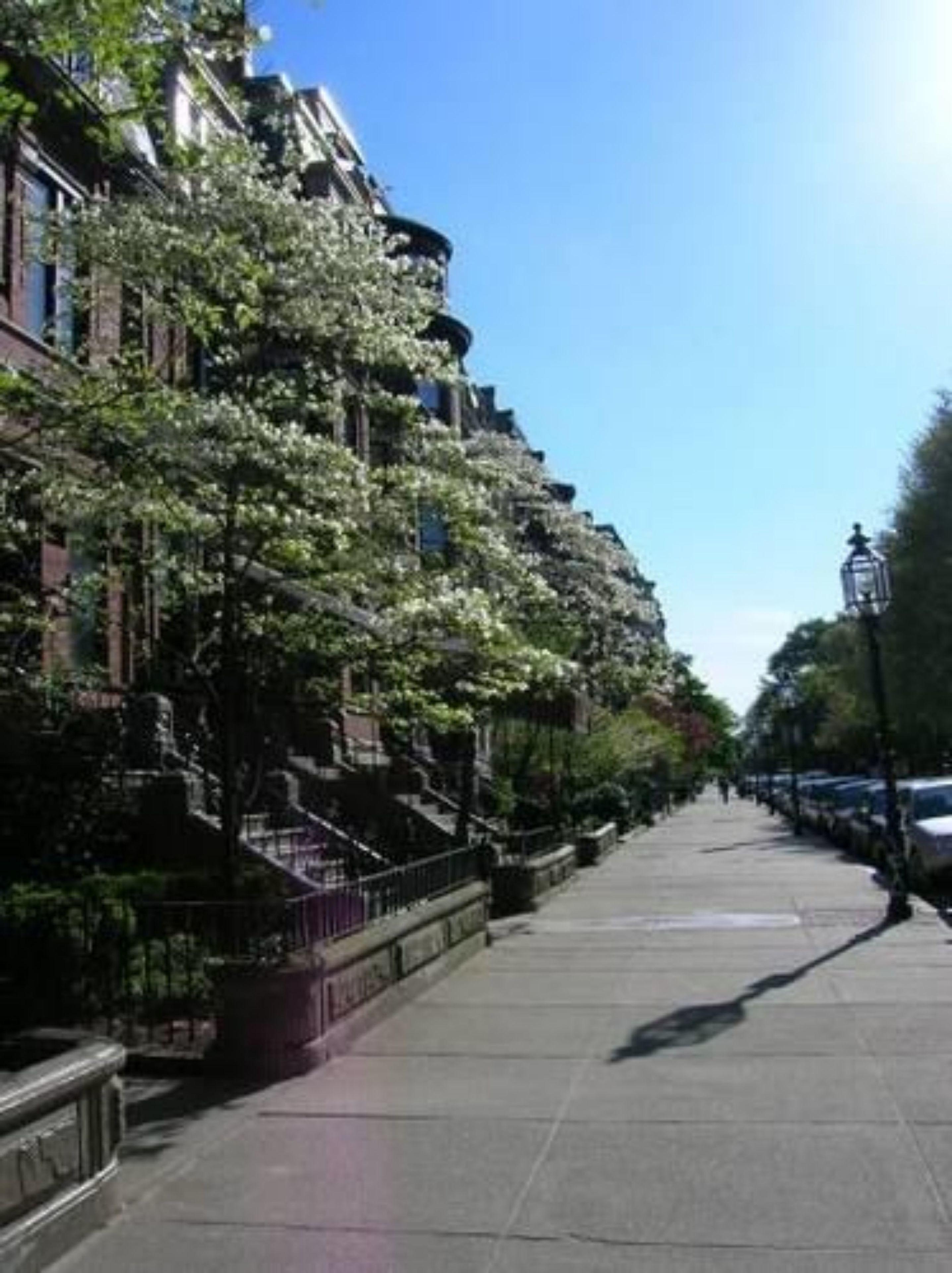 The College Club Of Boston