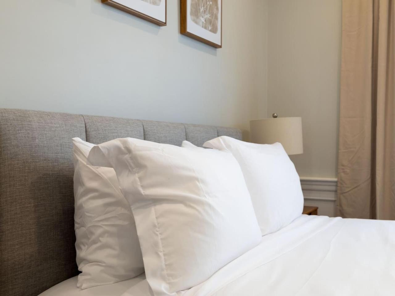 Luxury 3br In With Free Parking Boston