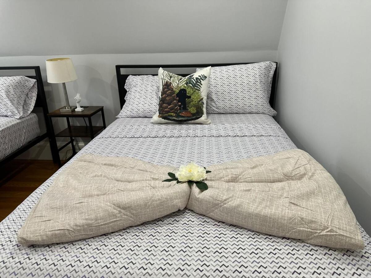 85c Brand New 3brwalk To Transit, Near Boston