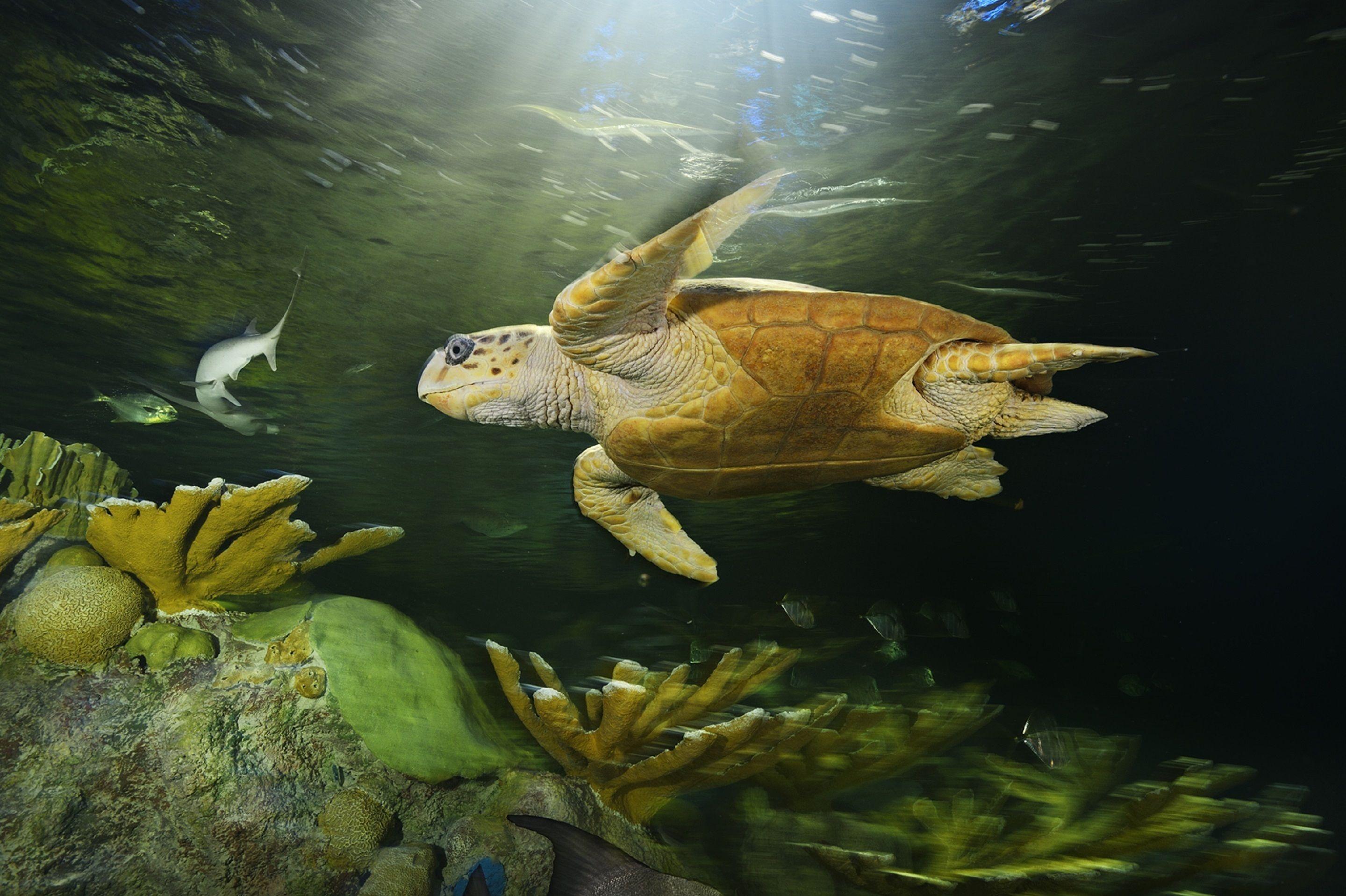 Hotel By Marriott Downtown Seaport 3*