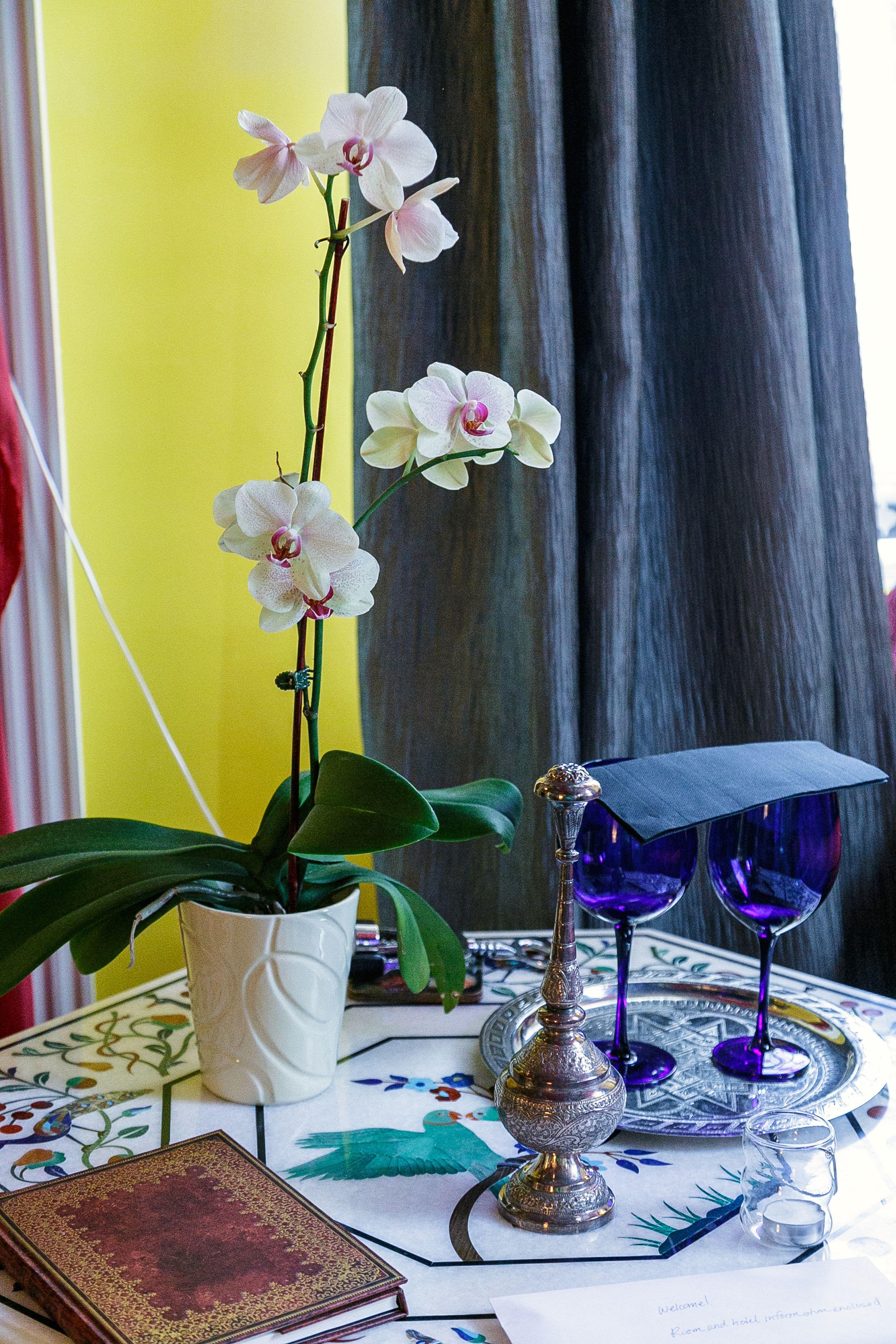 Bed & Breakfast Moroccan Boutique