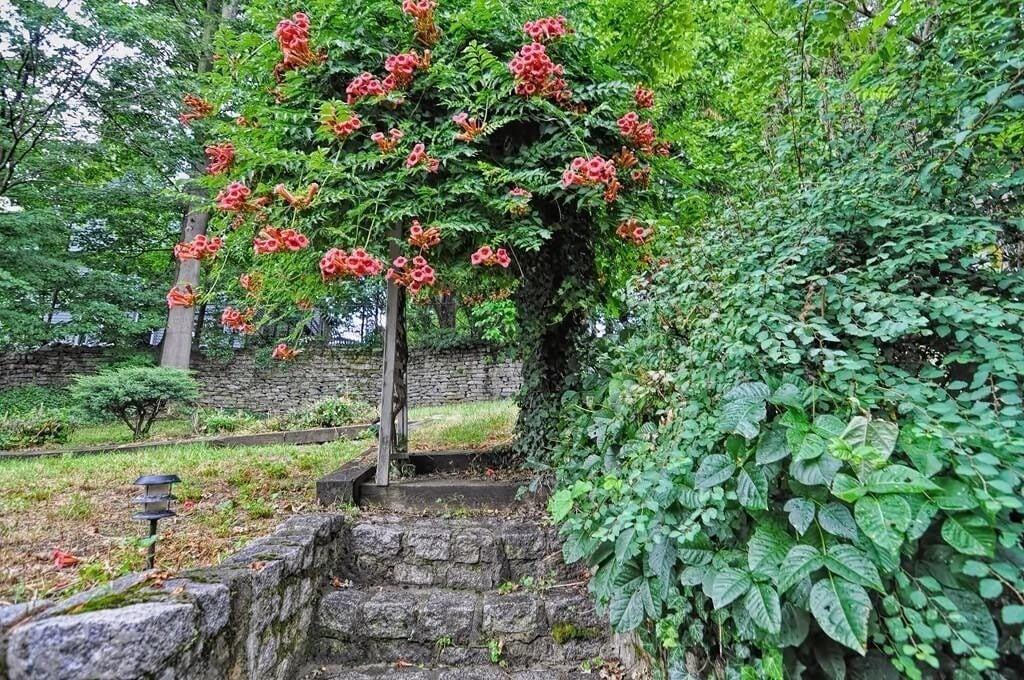 Natalie House Boston