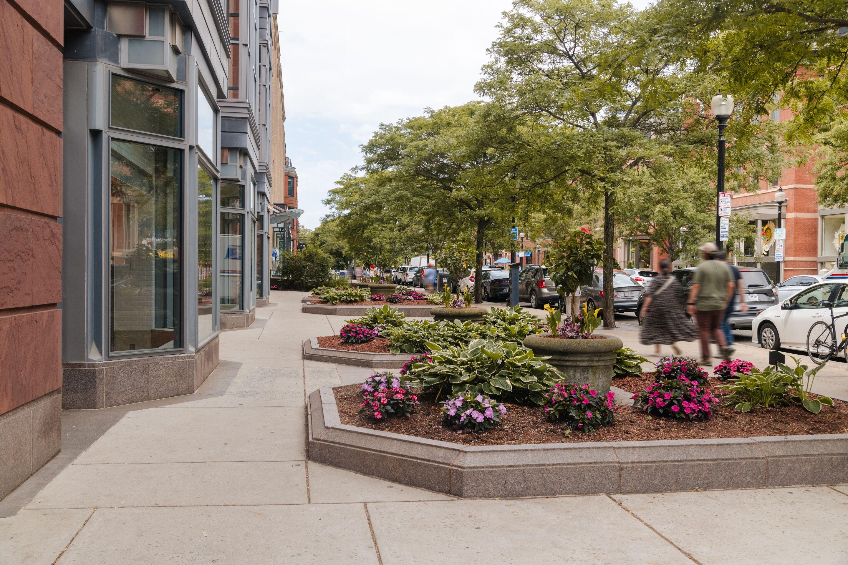 Sonder By Marriott Bonvoy The Magnolia Back Bay 4* Boston