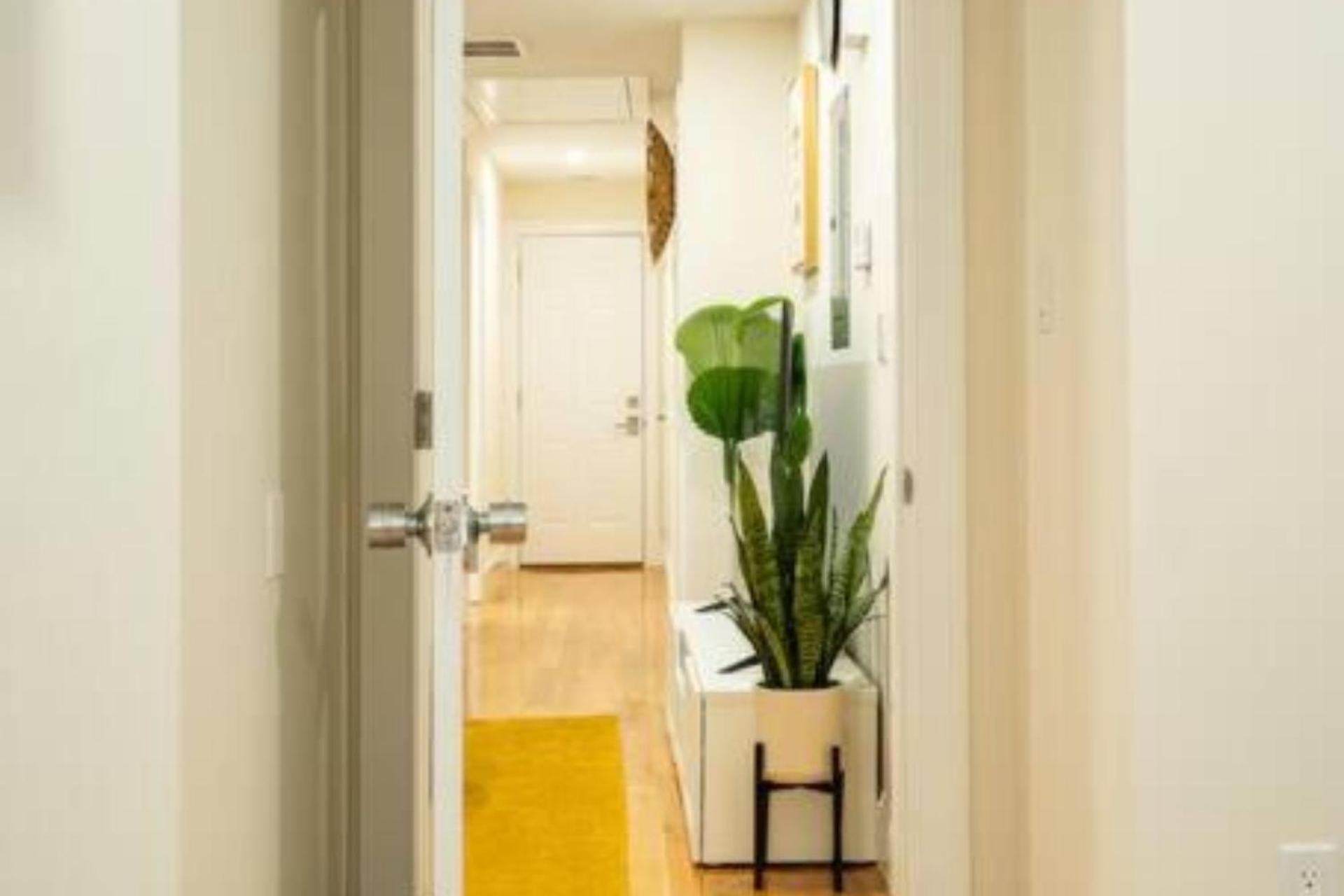 Apartment 80-3 3br - Cozy Near Dorchester Center