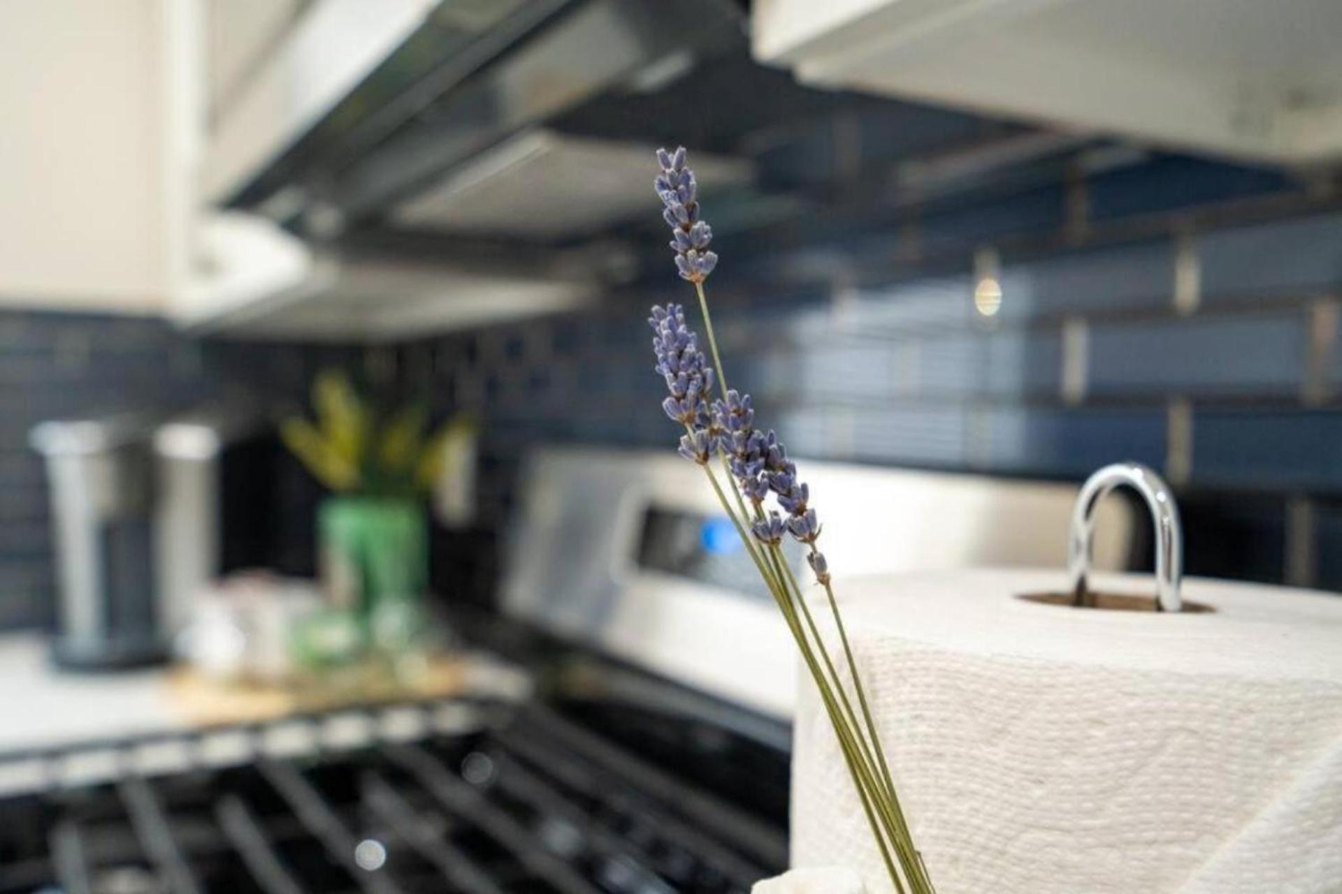 80-3 3br - Cozy Near Dorchester Center * Boston