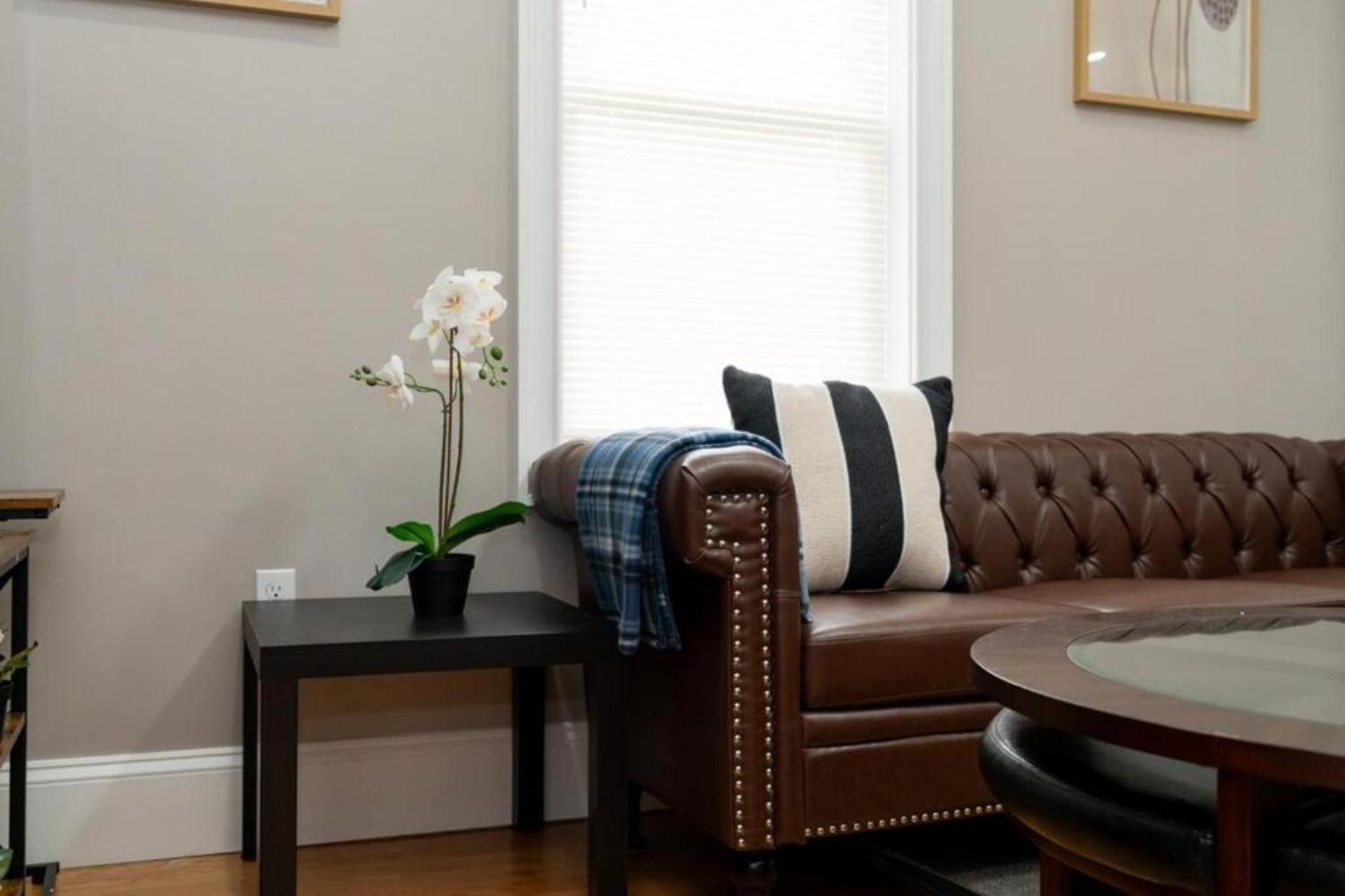 558-2 3br - Modern Nest Near Franklin Park * Boston