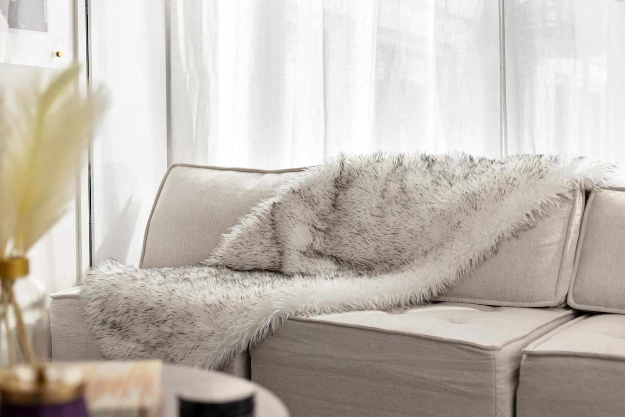 Apartment South End Ideal For Business Trips *