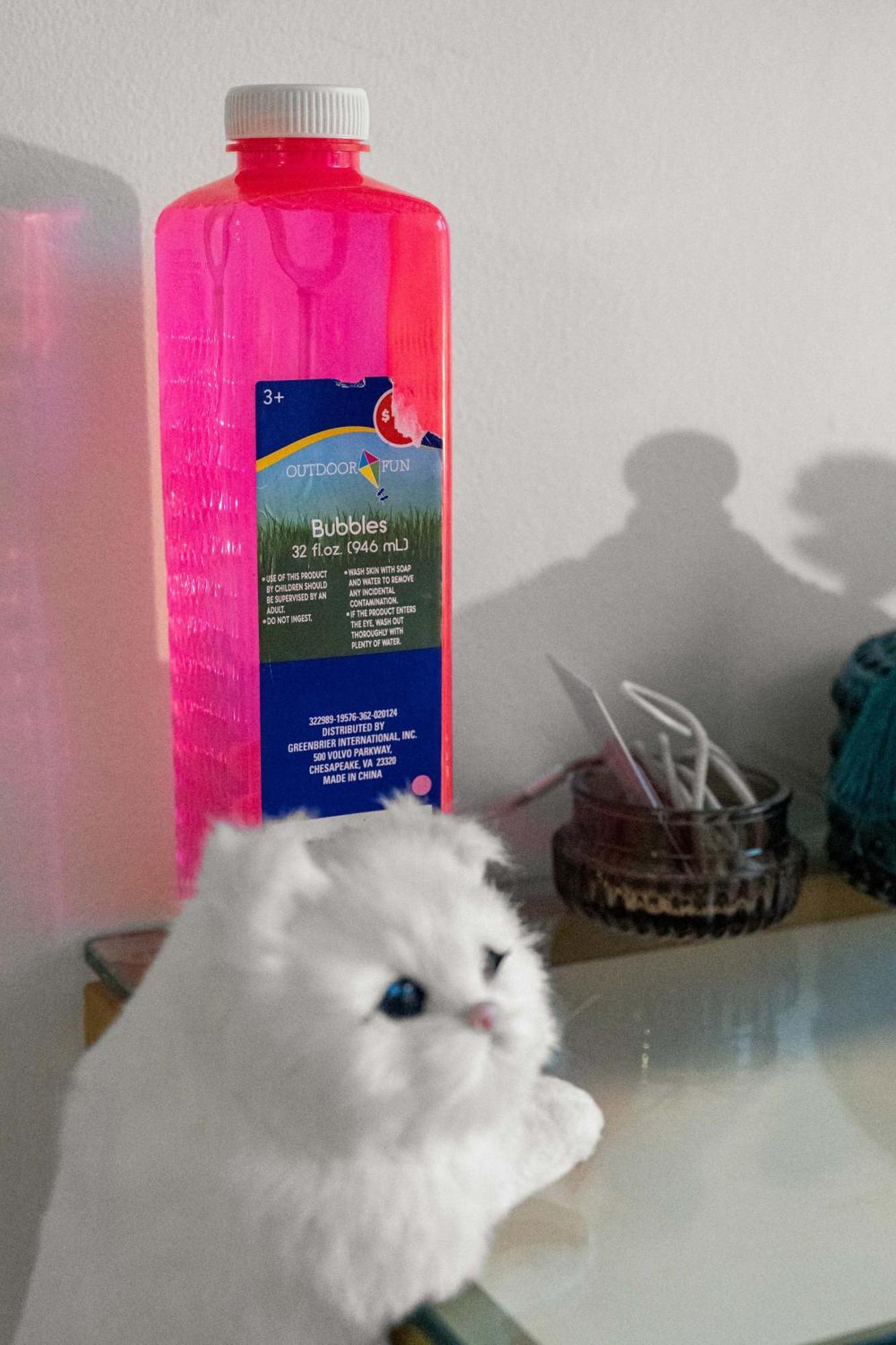 One-bedroom Retreat In The South End * Boston