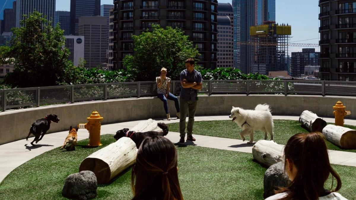 Apartment One-bedroom Retreat In The South End