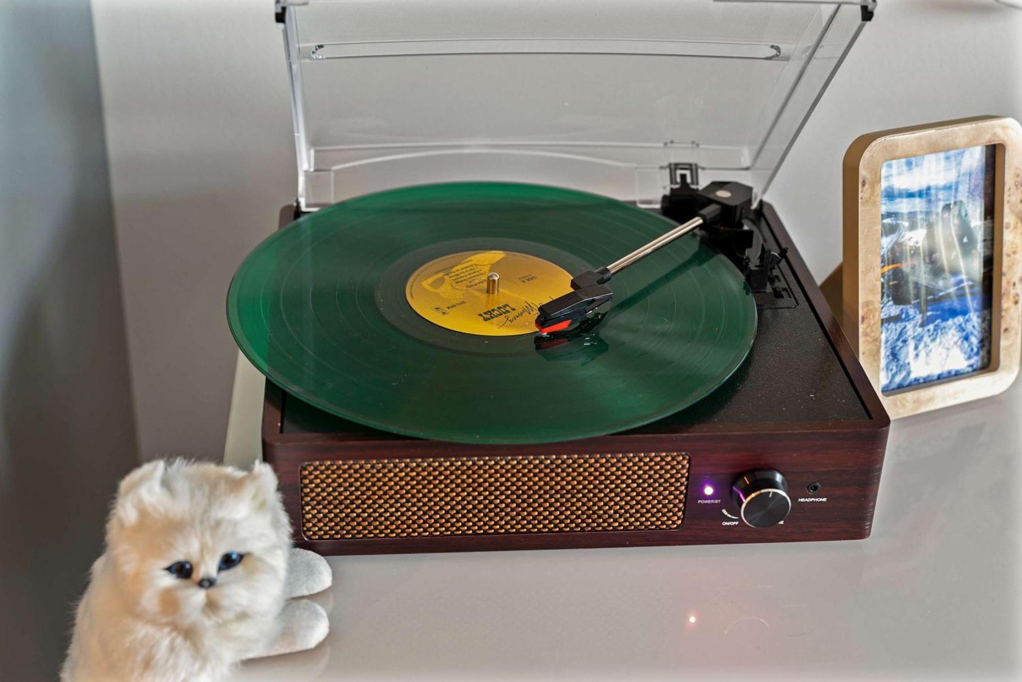 South End Family With Pool Gym & Downtown Yay Apartment *