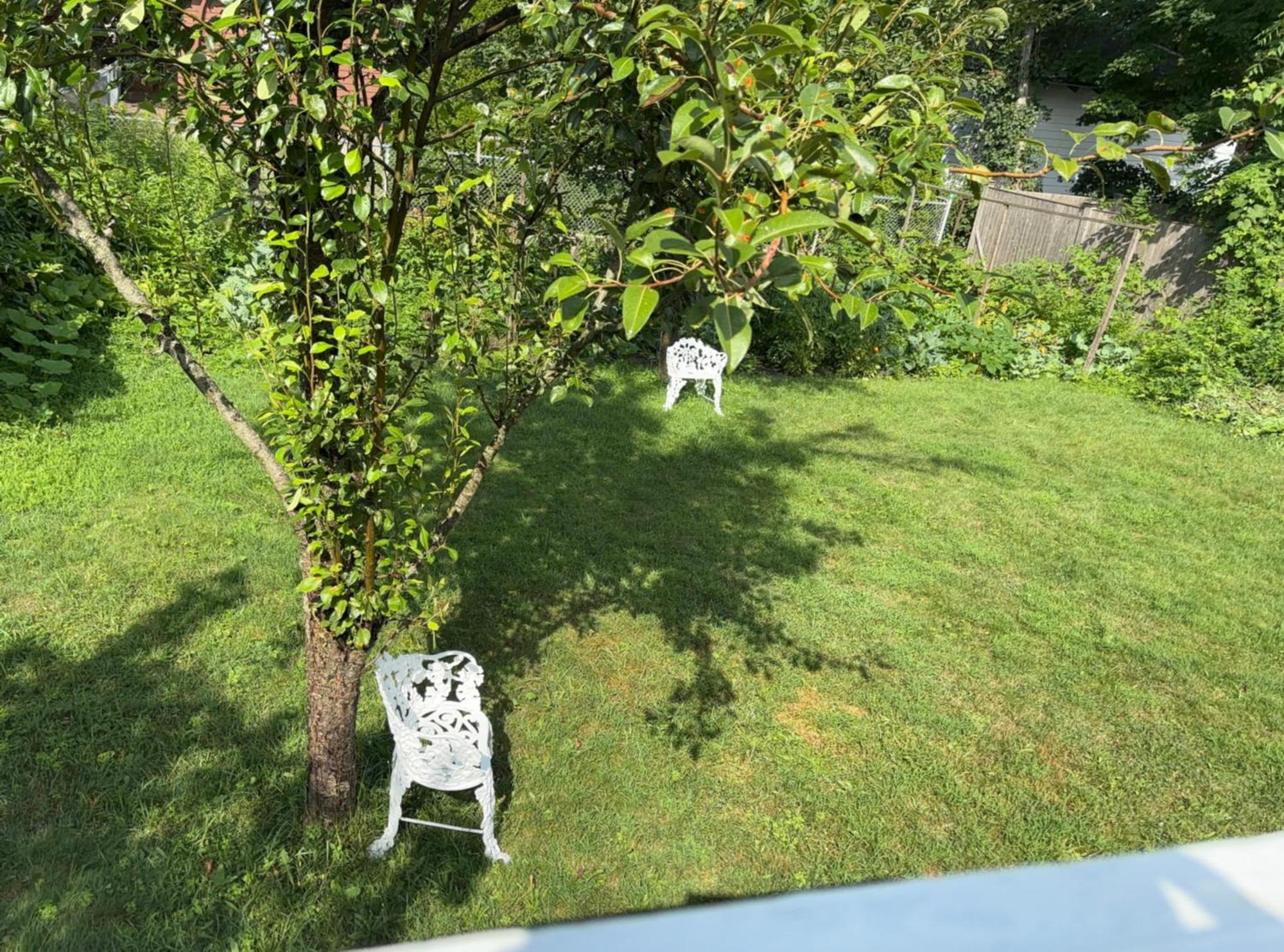 Homestay Large Bedroom With Private Bathroom Step To Train &buses In Boston