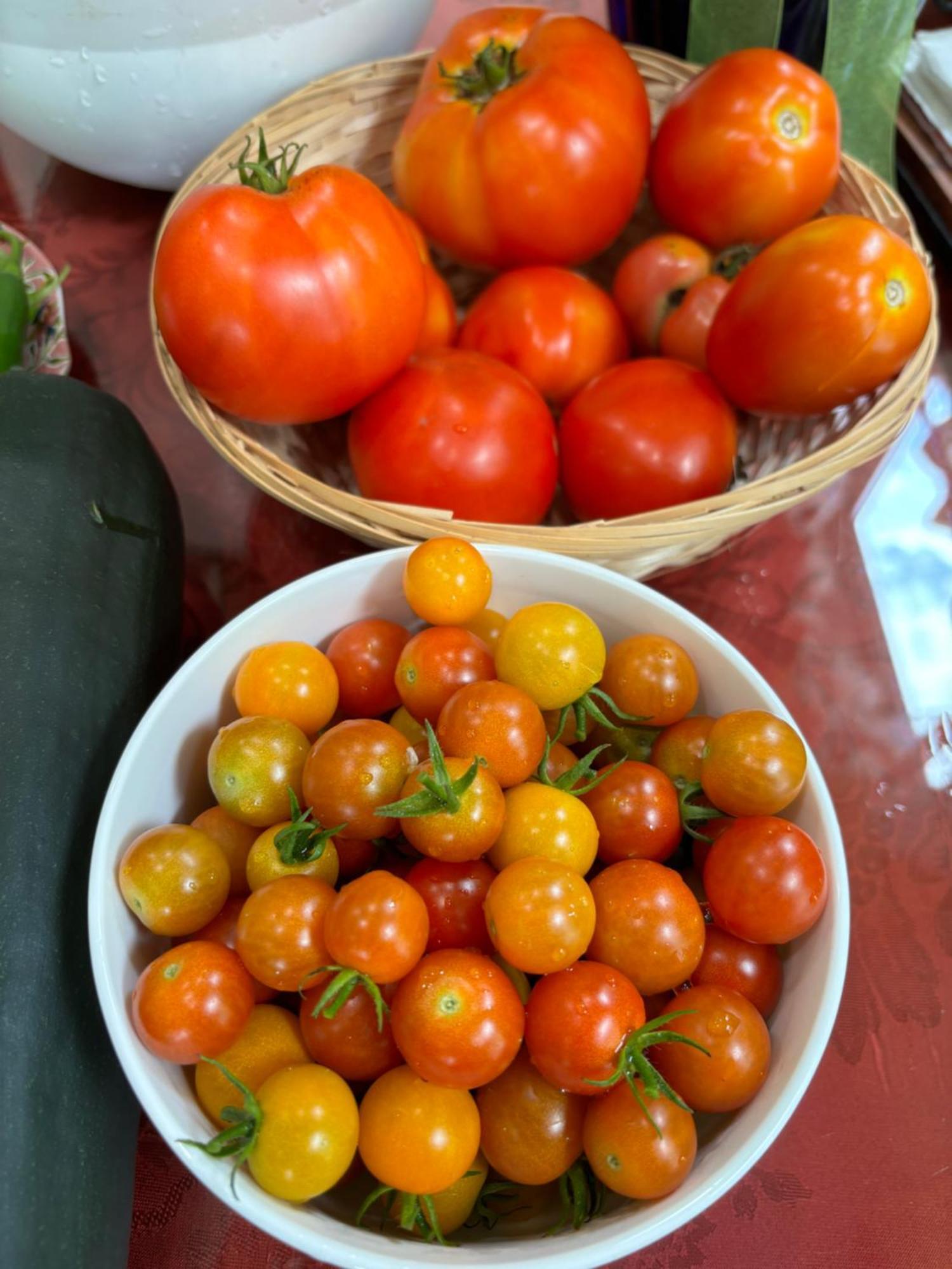 Private Bedroom Near Train&buses * Boston