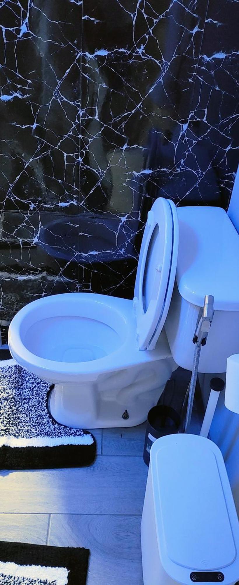 Available In A Hyde Park, Neighborhood Boston