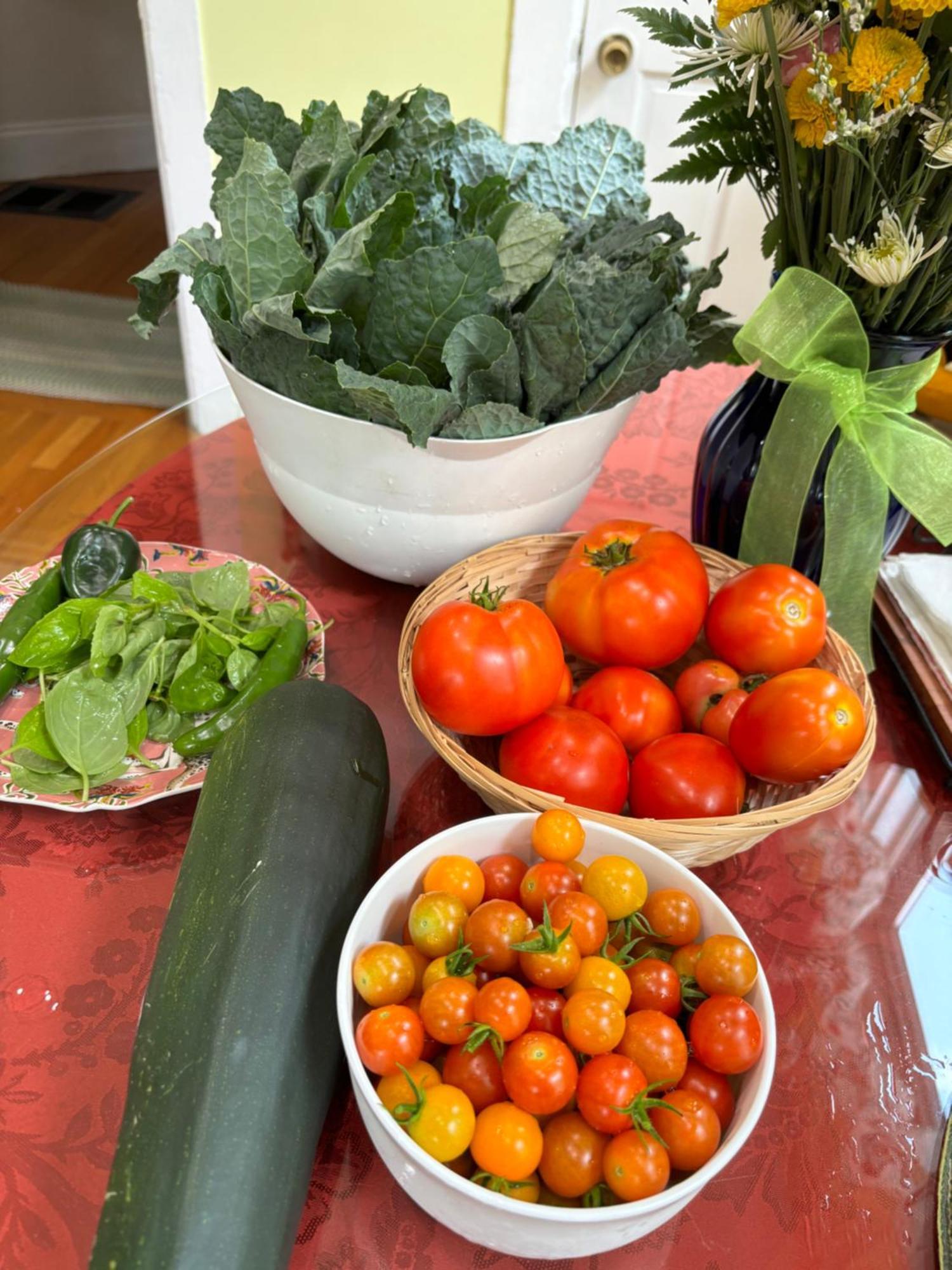 Private Bedroom Near Train&buses * Boston