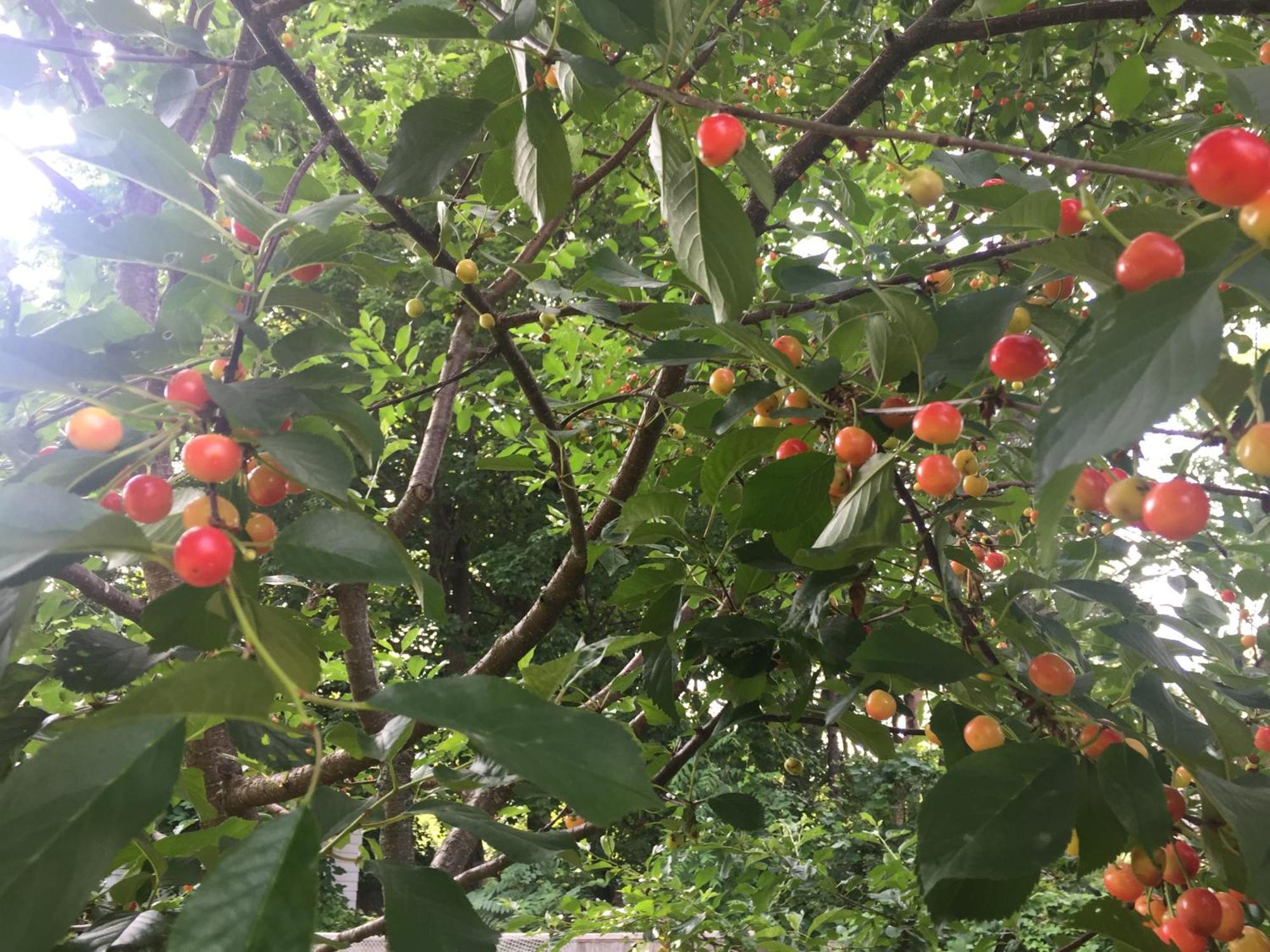 Homestay Private Bedroom Near Train&buses