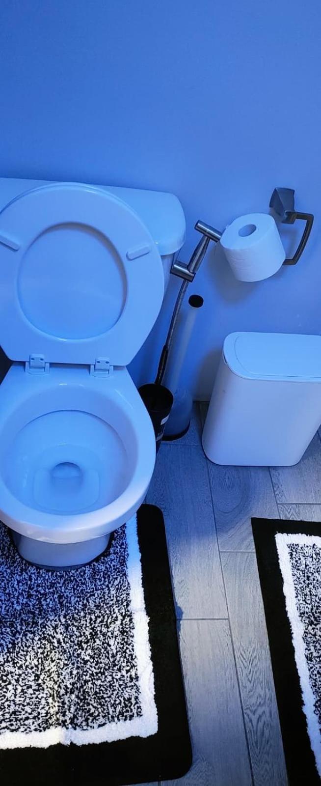 Available In A Hyde Park, Neighborhood * Boston