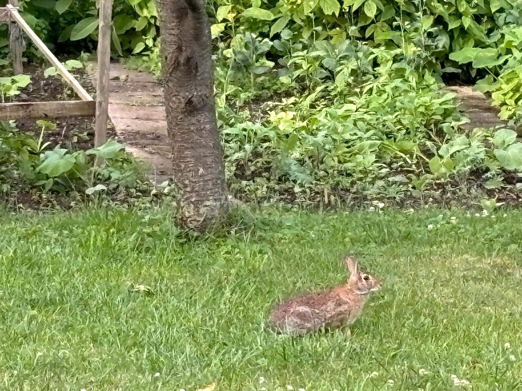 Homestay Private Bedroom Near Train&buses
