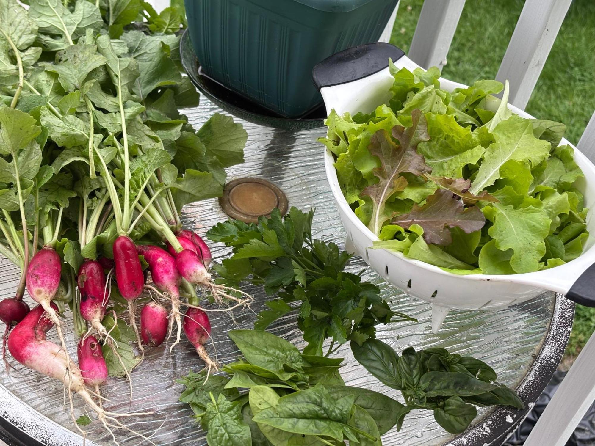 Large Bedroom With Private Bathroom Step To Train &buses In