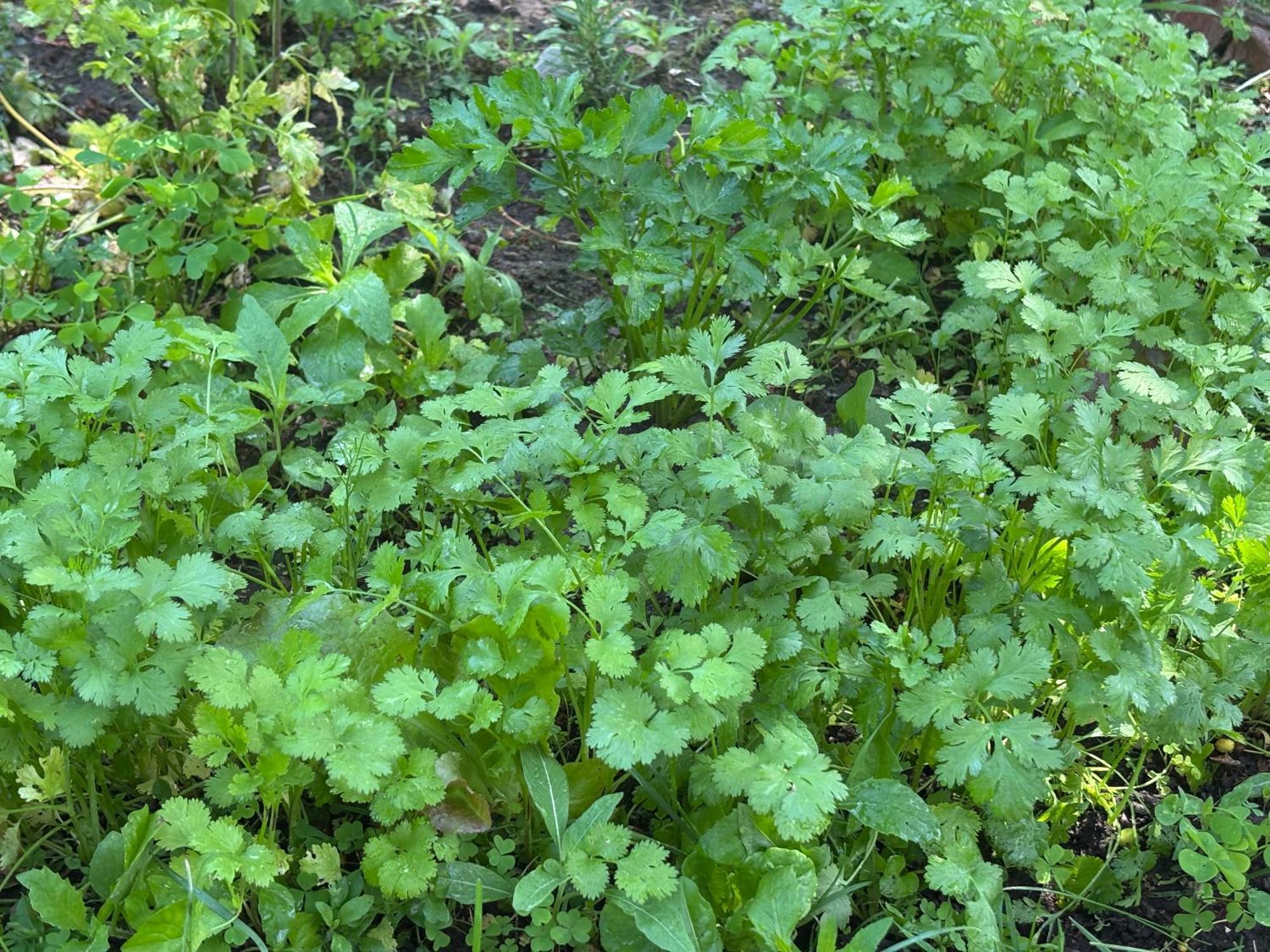 Large Bedroom With Private Bathroom Step To Train &buses In * Boston