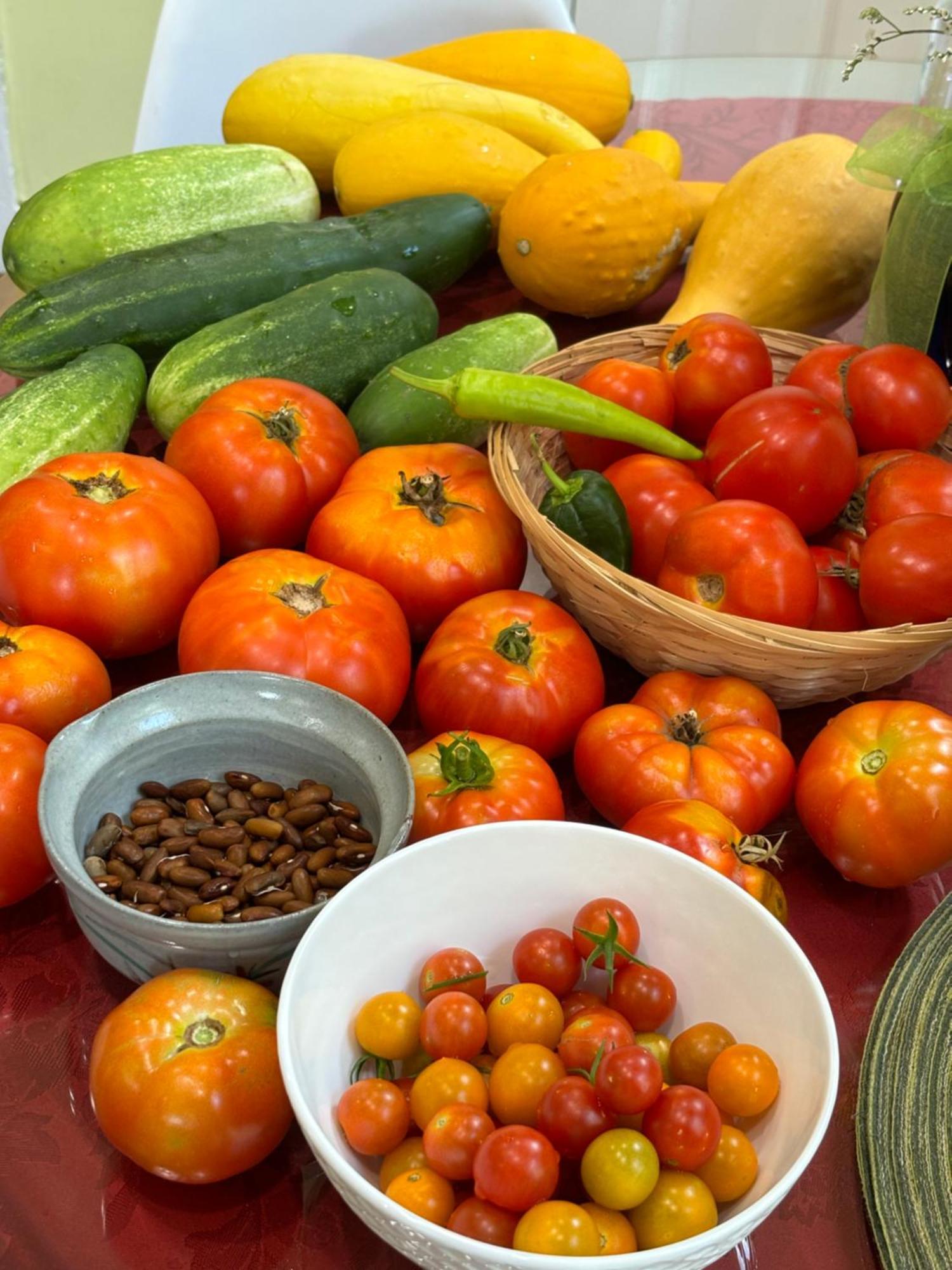 Large Bedroom With Private Bathroom Step To Train &buses In Homestay *