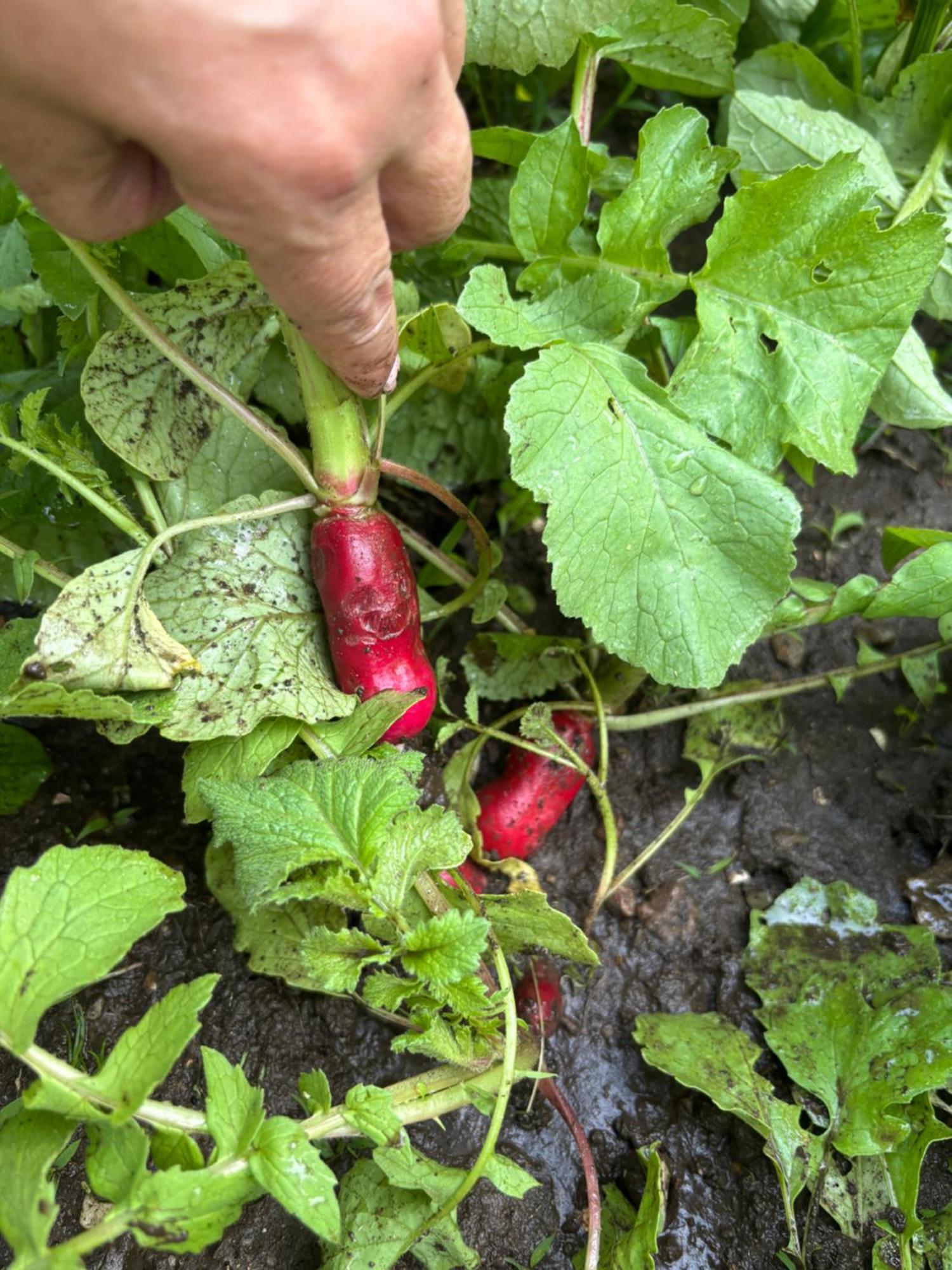 Large Bedroom With Private Bathroom Step To Train &buses In * Boston