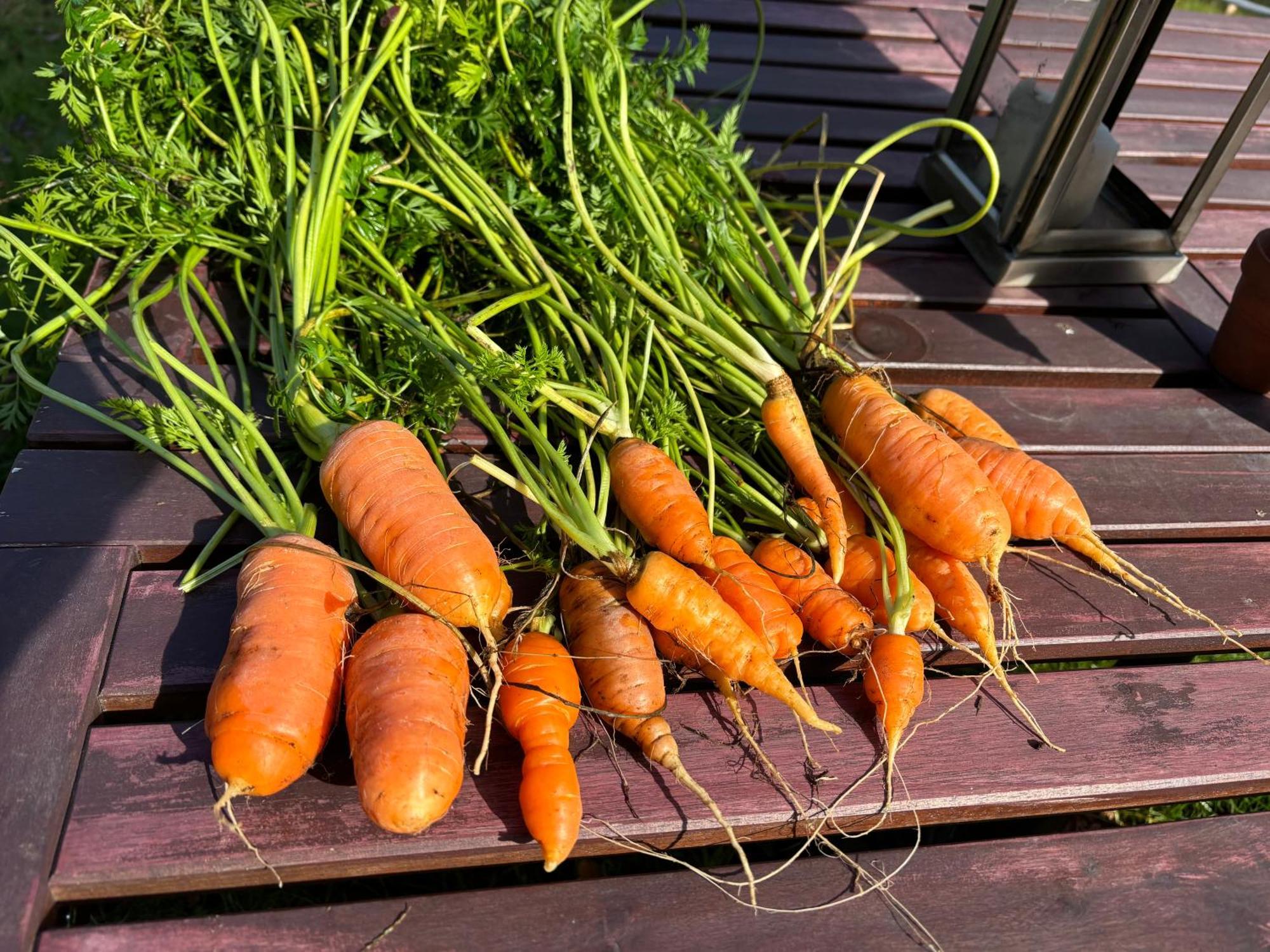 Homestay Large Bedroom With Private Bathroom Step To Train &buses In *