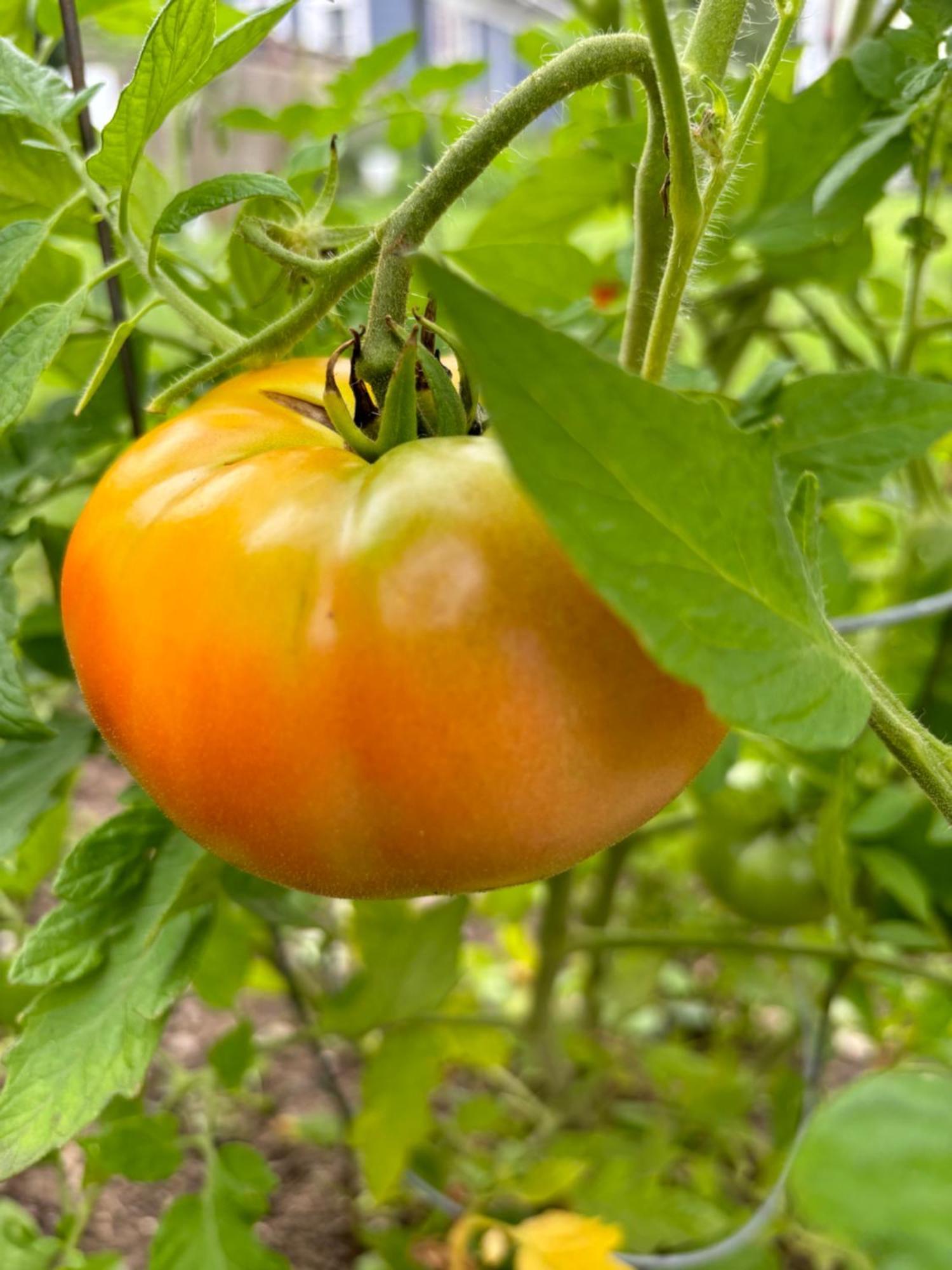 Large Bedroom With Private Bathroom Step To Train &buses In Homestay