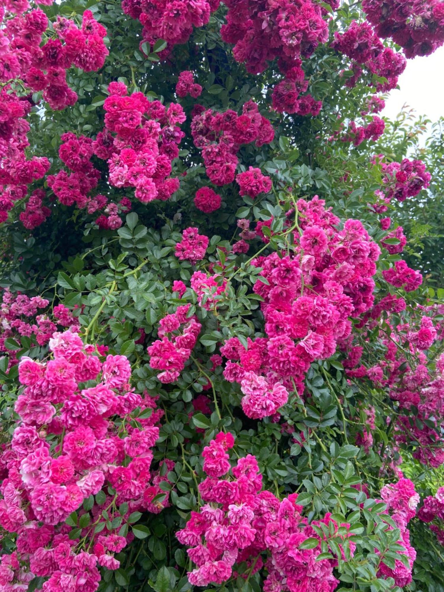 Private Bedroom Near Train&buses Homestay