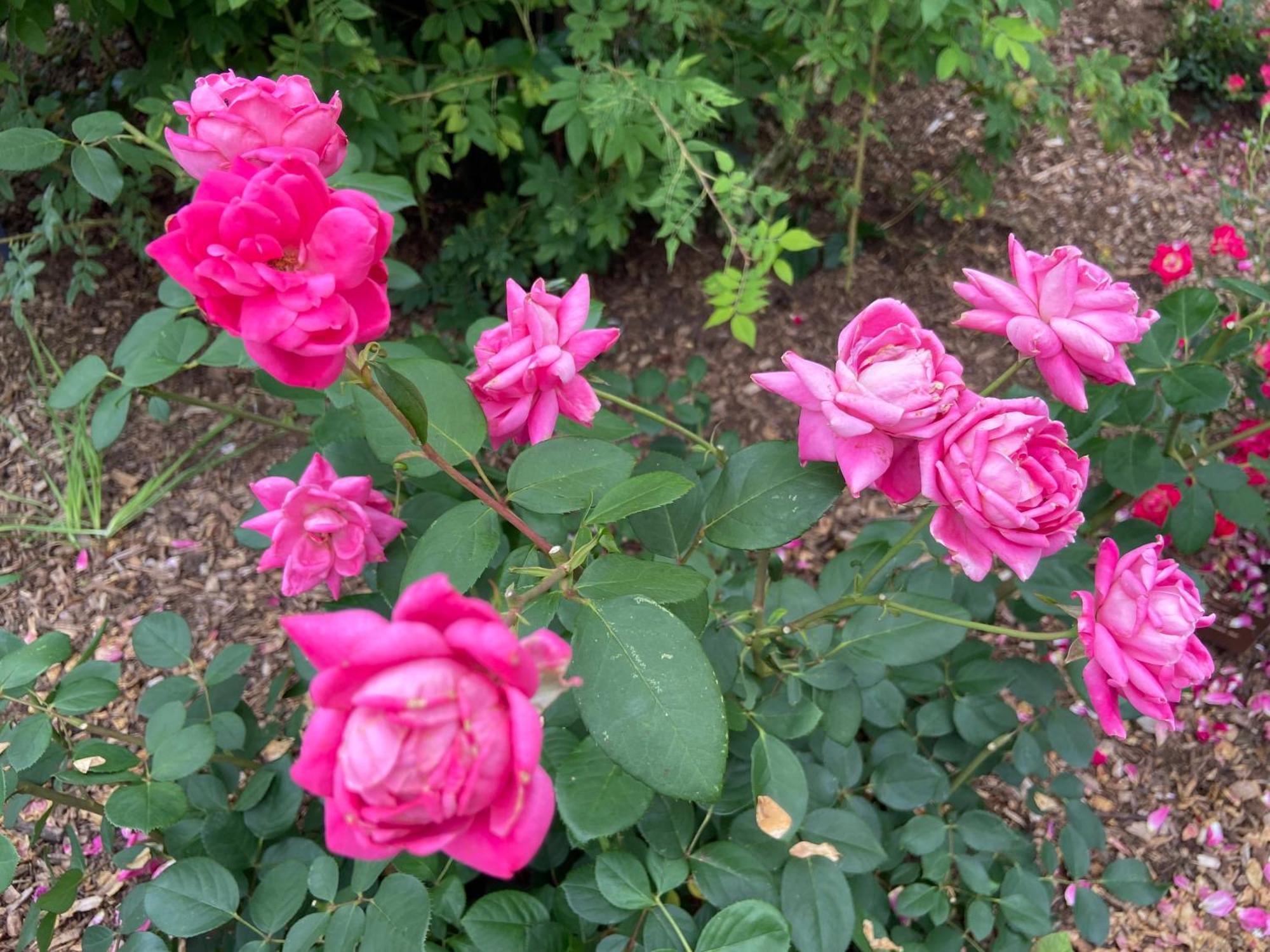 Homestay Private Bedroom Near Train&buses