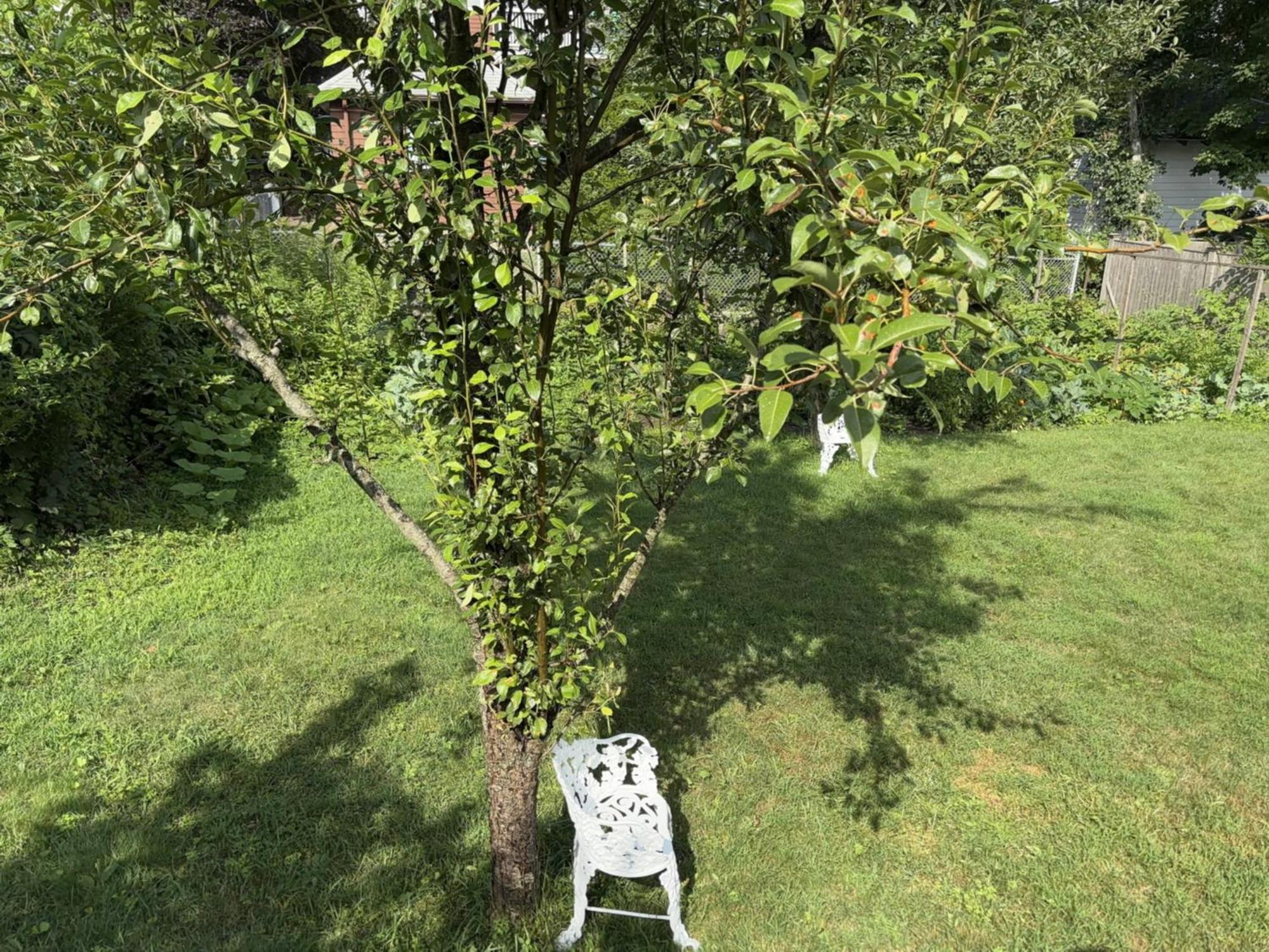 Private Bedroom Near Train&buses Homestay