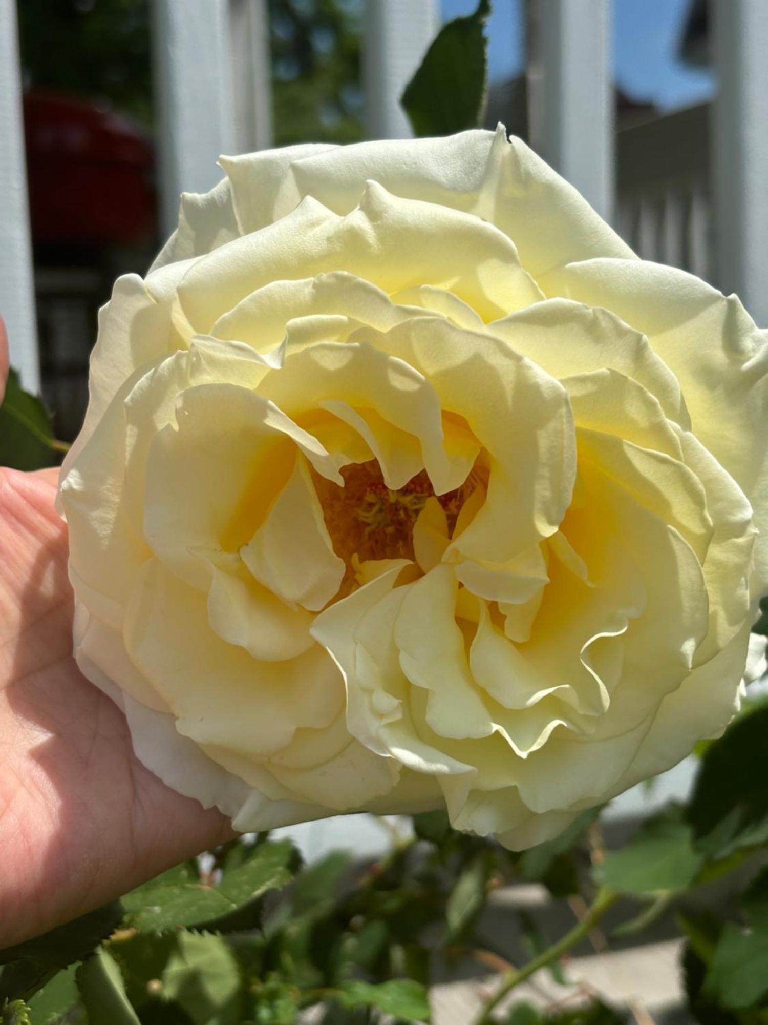 Private Bedroom Near Train&buses *