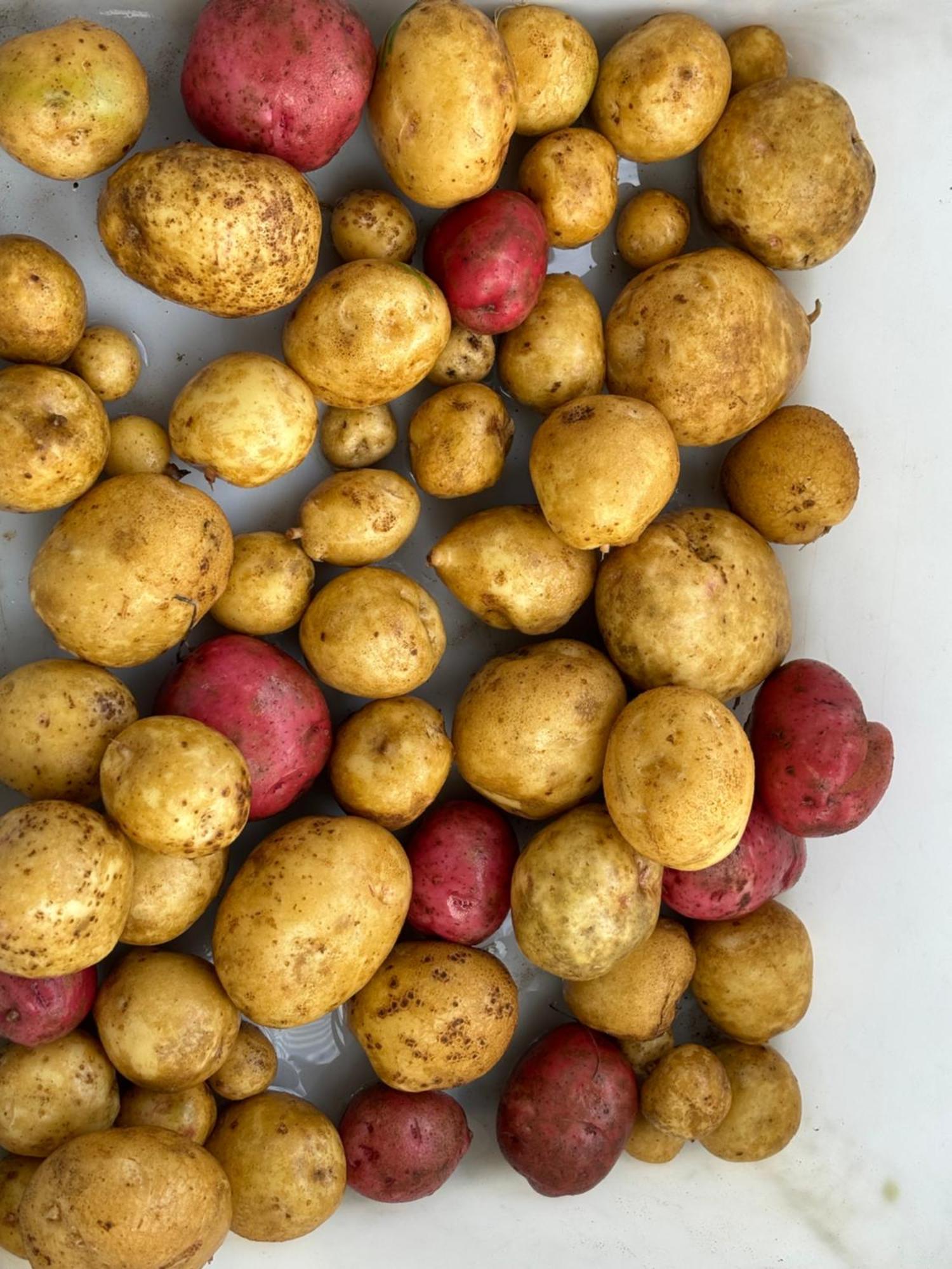 Private Bedroom Near Train&buses Boston