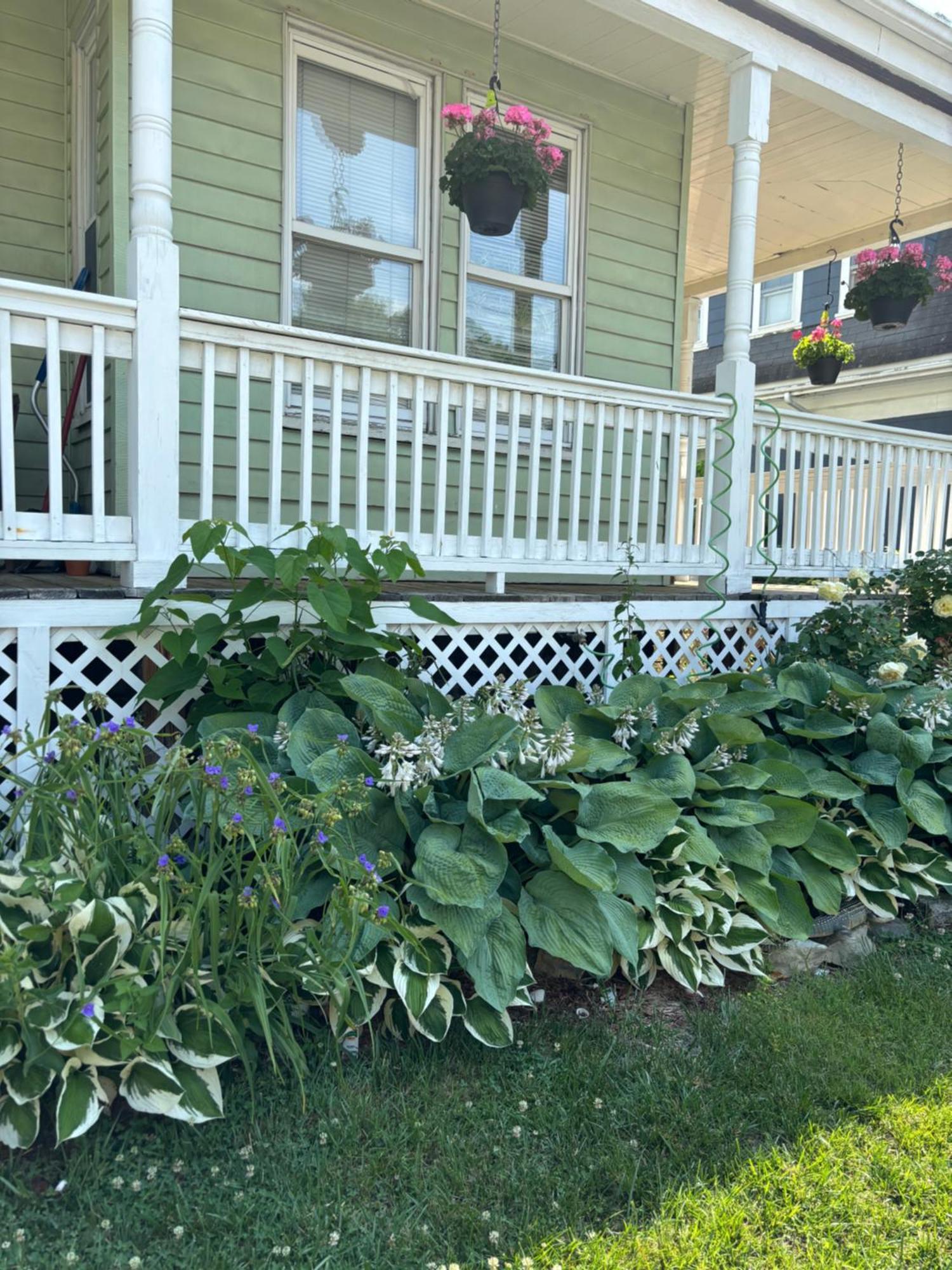 Private Bedroom Near Train&buses Homestay