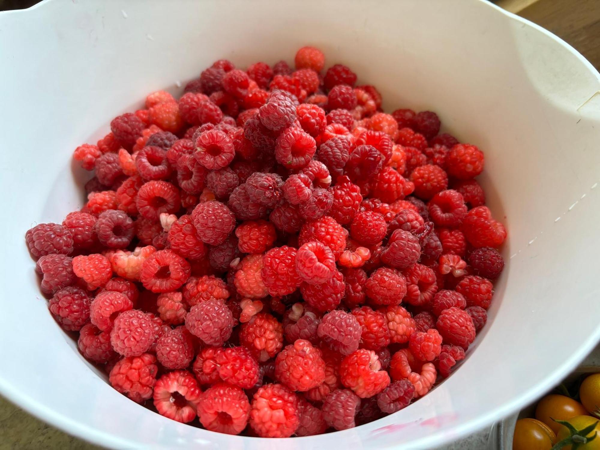 Private Bedroom Near Train&buses Boston