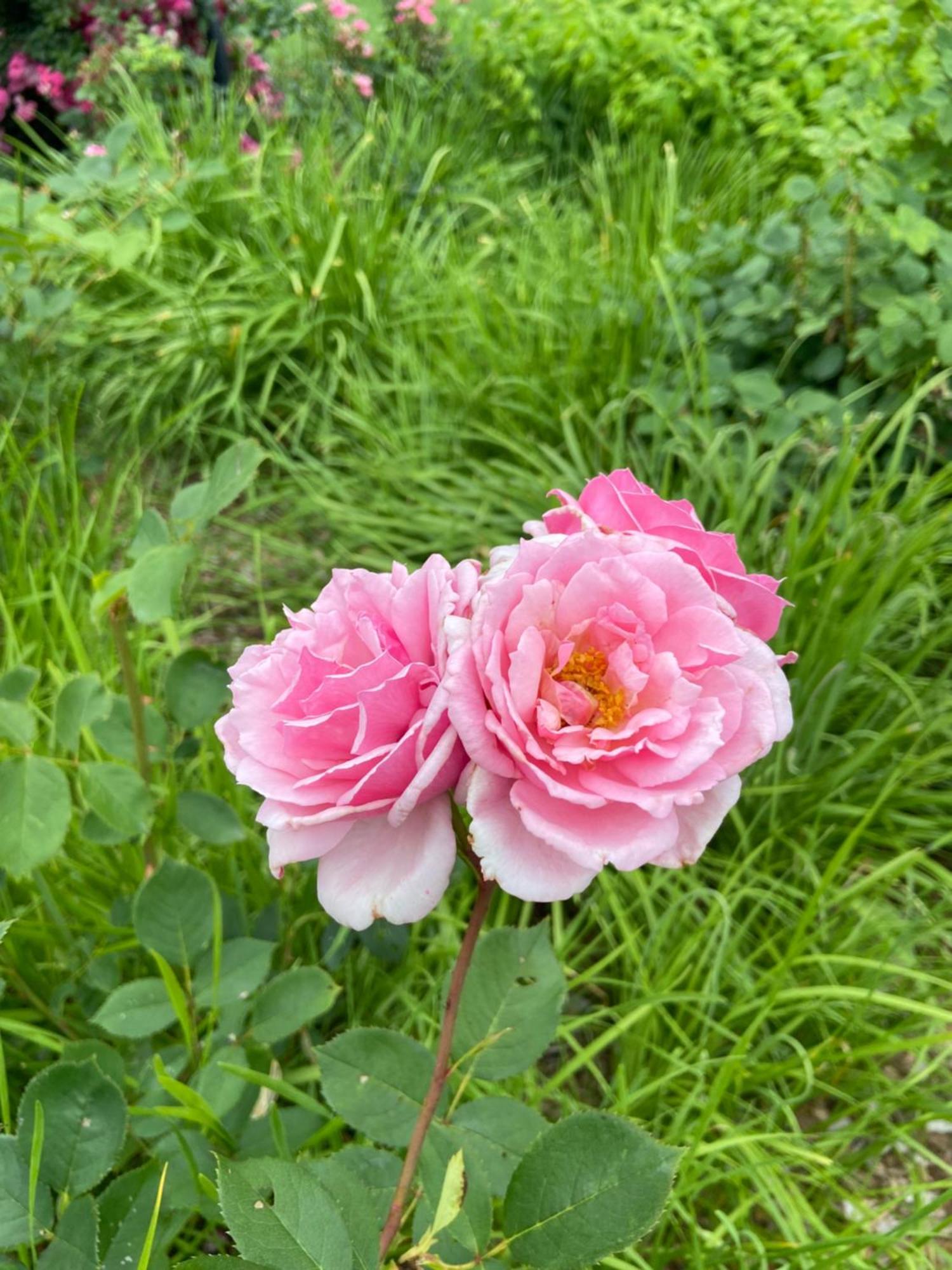 Homestay Private Bedroom Near Train&buses