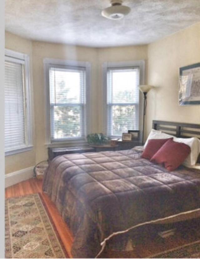 Apartment Private Must Dogs Boston