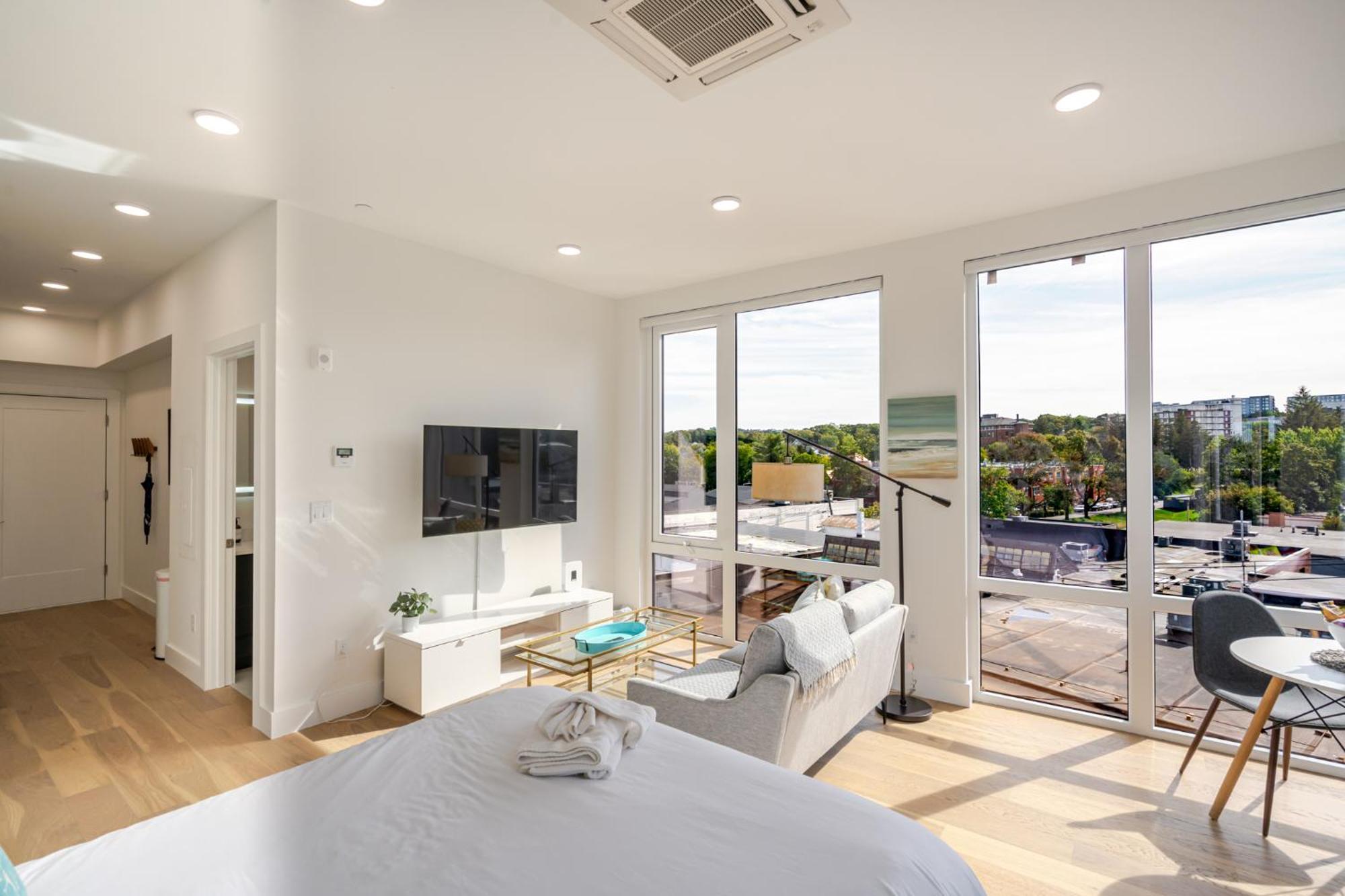 Apartment Landing Luxury Studio, Roof Deck, Near Mbta Boston